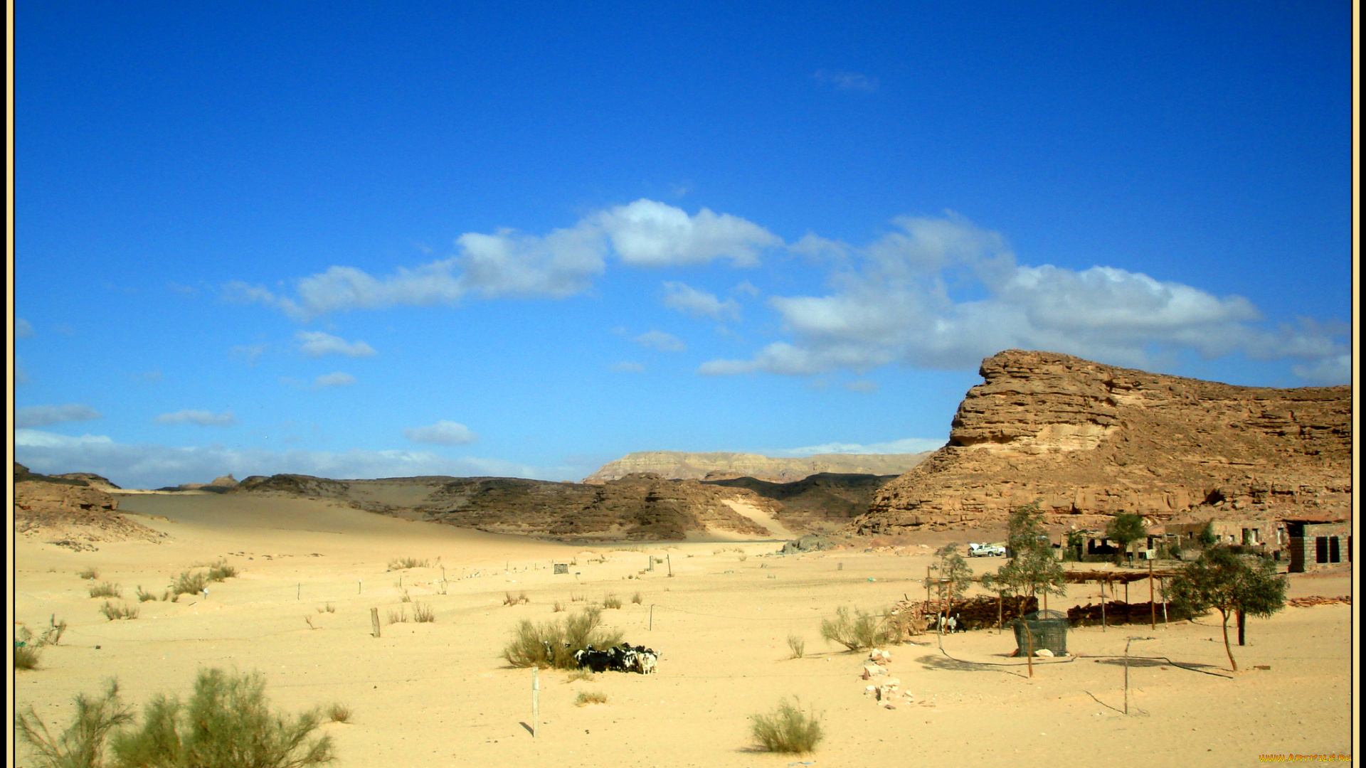 синайский, пейзаж, природа, пустыни, египет, синай, лето, горы