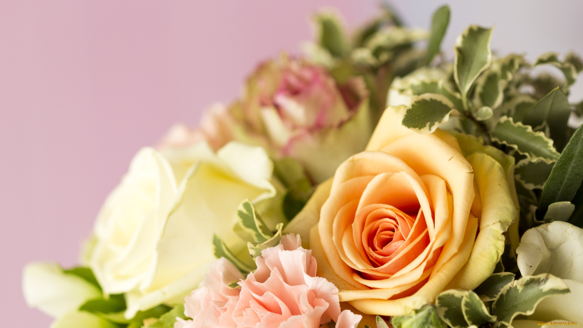 цветы, букеты, , композиции, гвоздики, розы