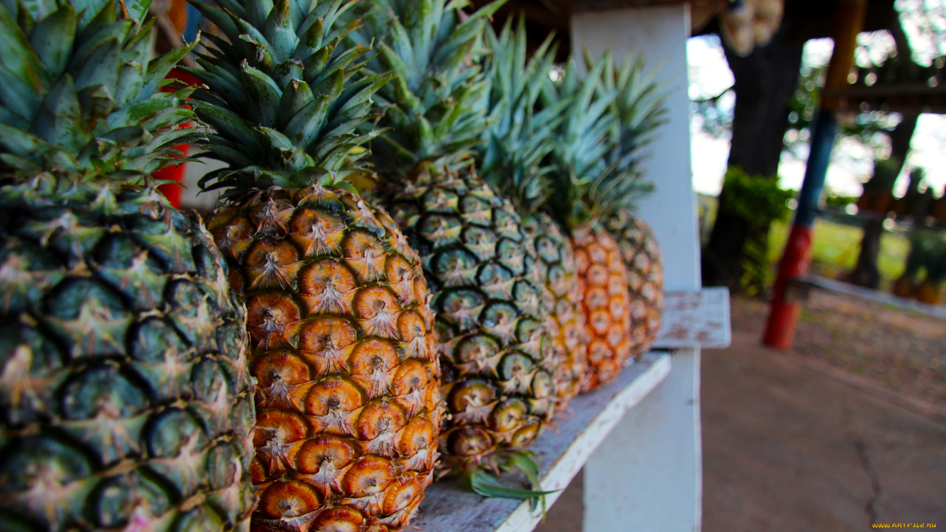 еда, ананас, ananas