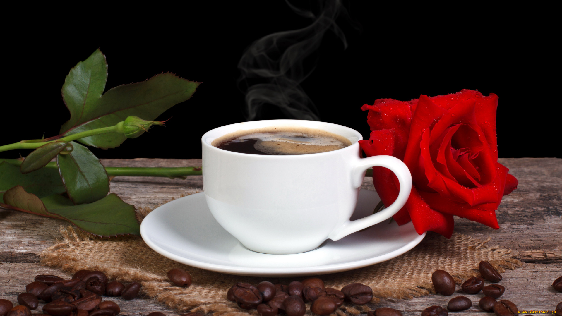 еда, кофе, , кофейные, зёрна, роза, красный, зерна