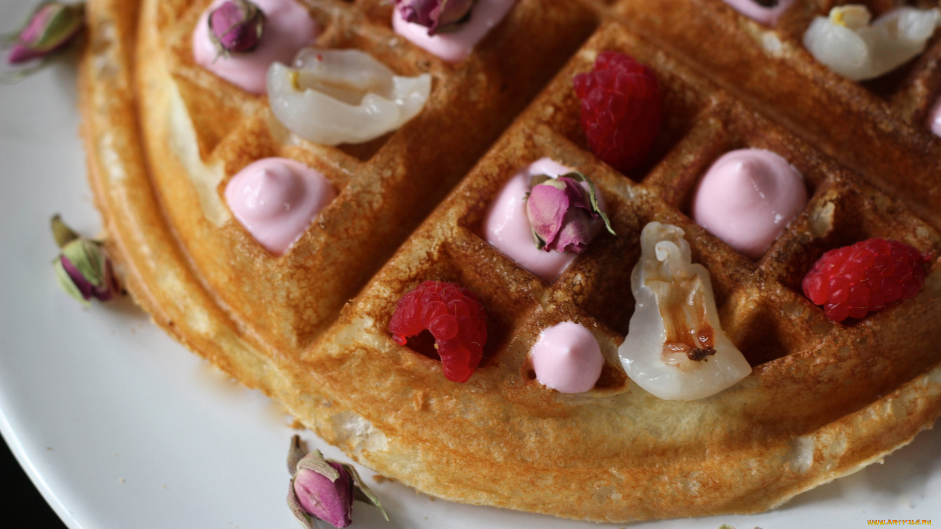 еда, пирожные, , кексы, , печенье, крем, мороженое, вафли