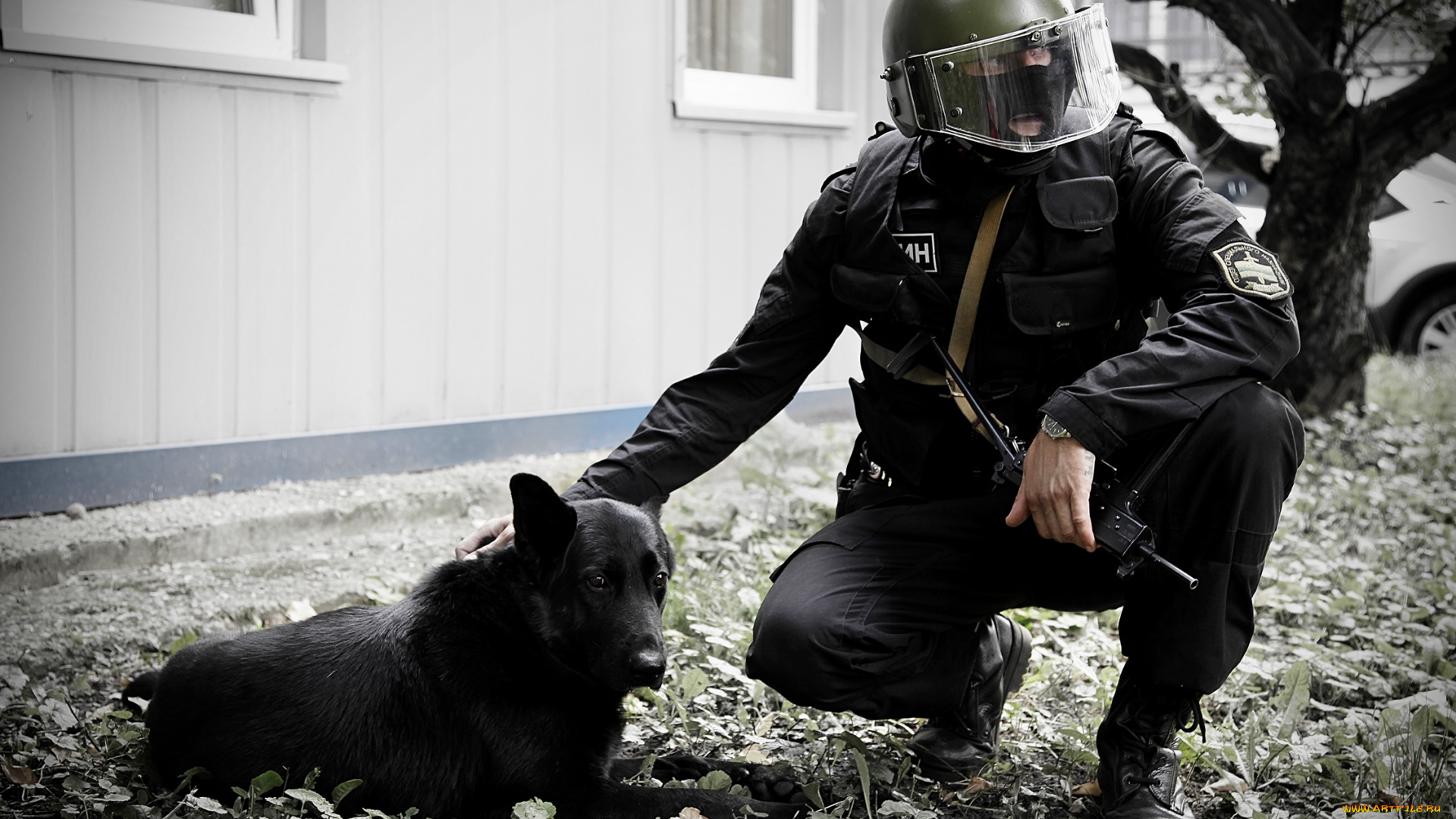 оружие, армия, спецназ, напарник