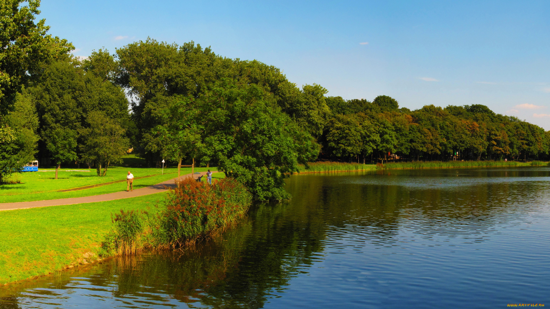 познань, польша, природа, парк, река, польша, деревья, кусты, познань