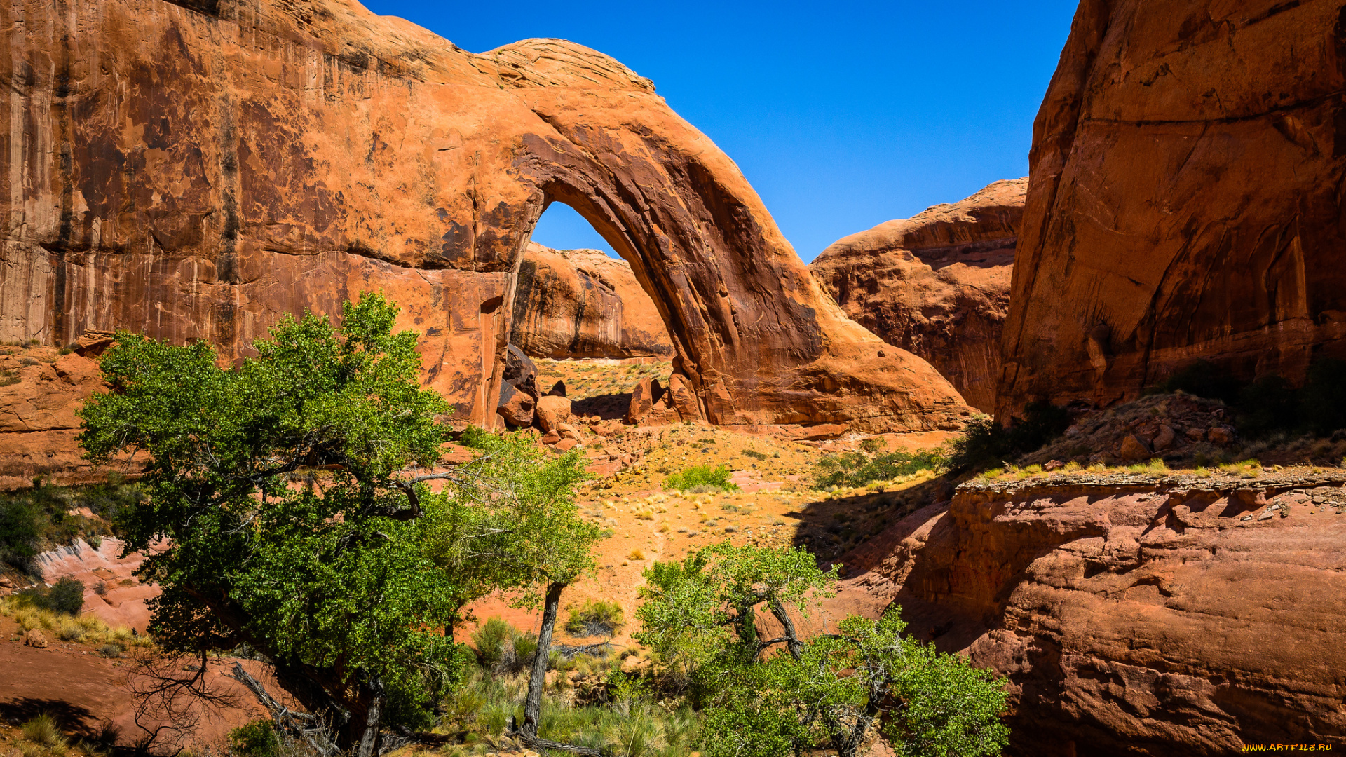 природа, горы, арка, деревья, скалы