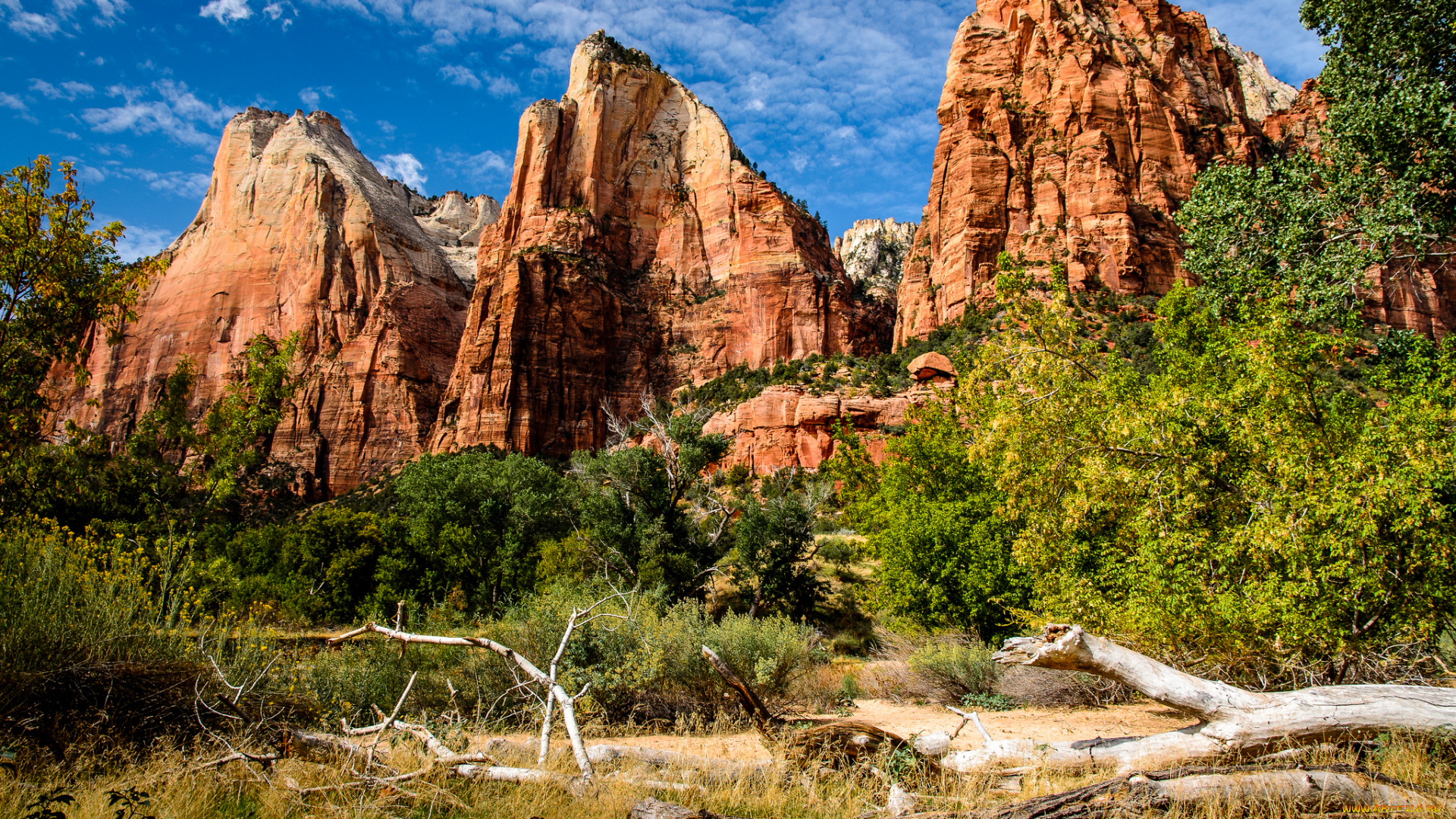 природа, горы, коряги, трава, луг, скалы