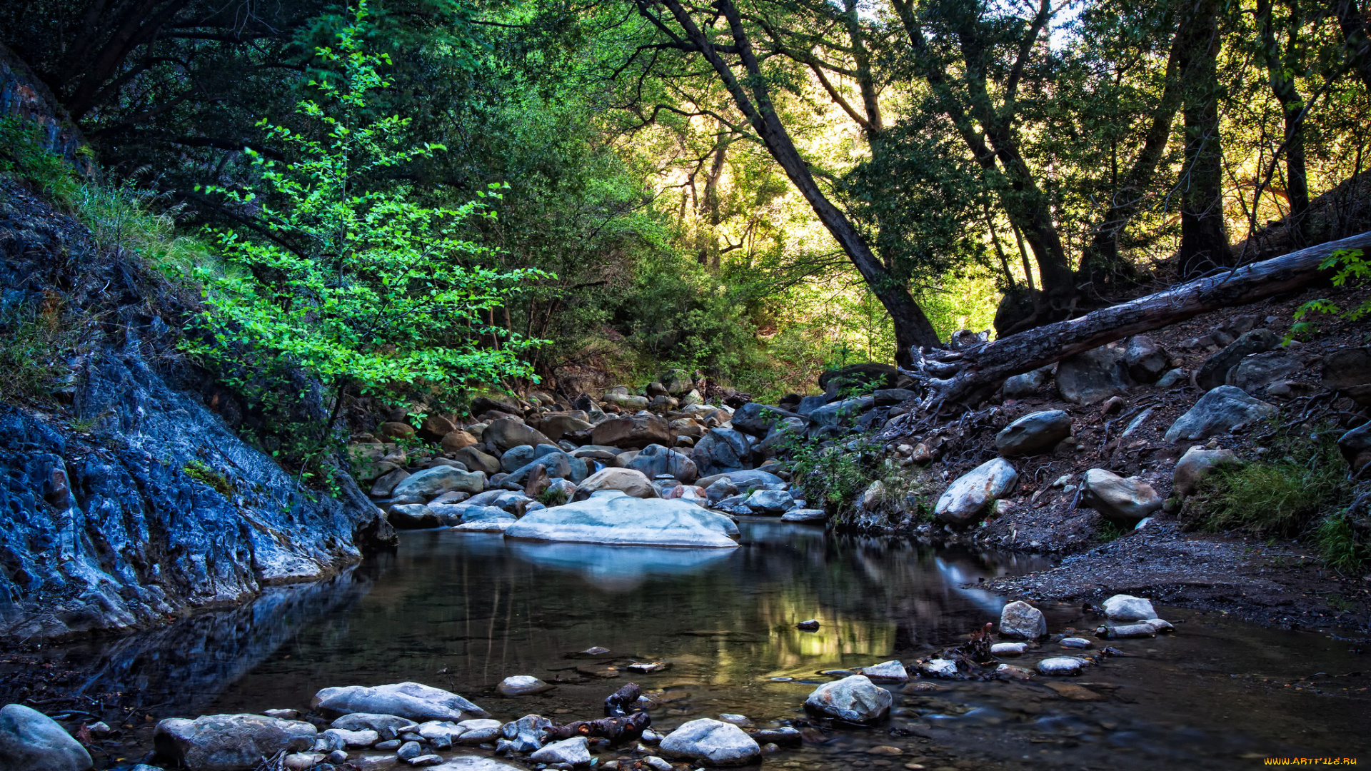 природа, реки, озера, лес, галька, ручей, камни