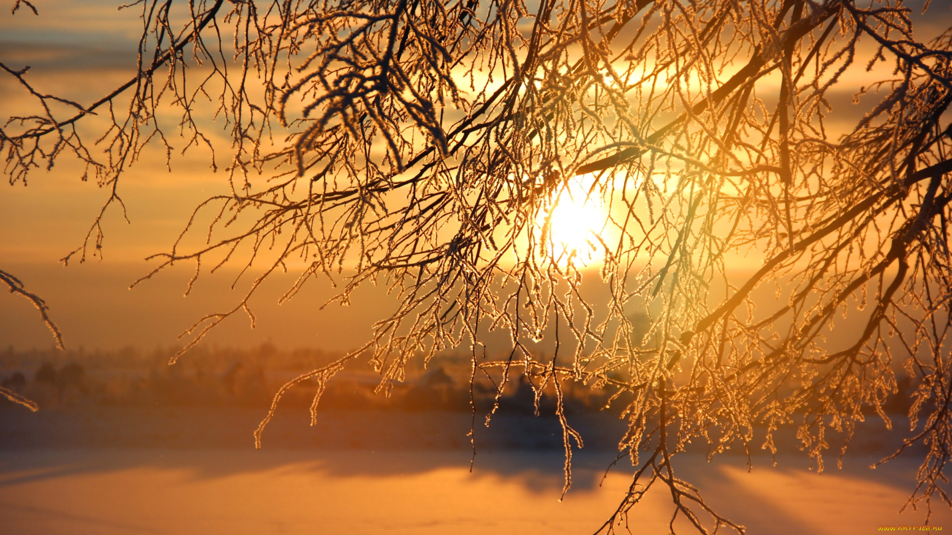 природа, восходы, закаты, закат