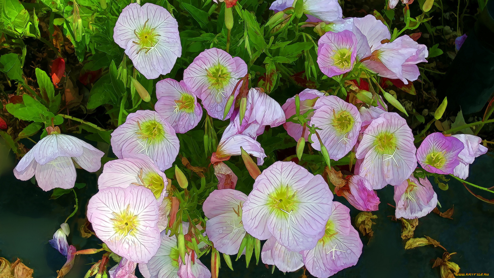 разное, компьютерный, дизайн, цветы