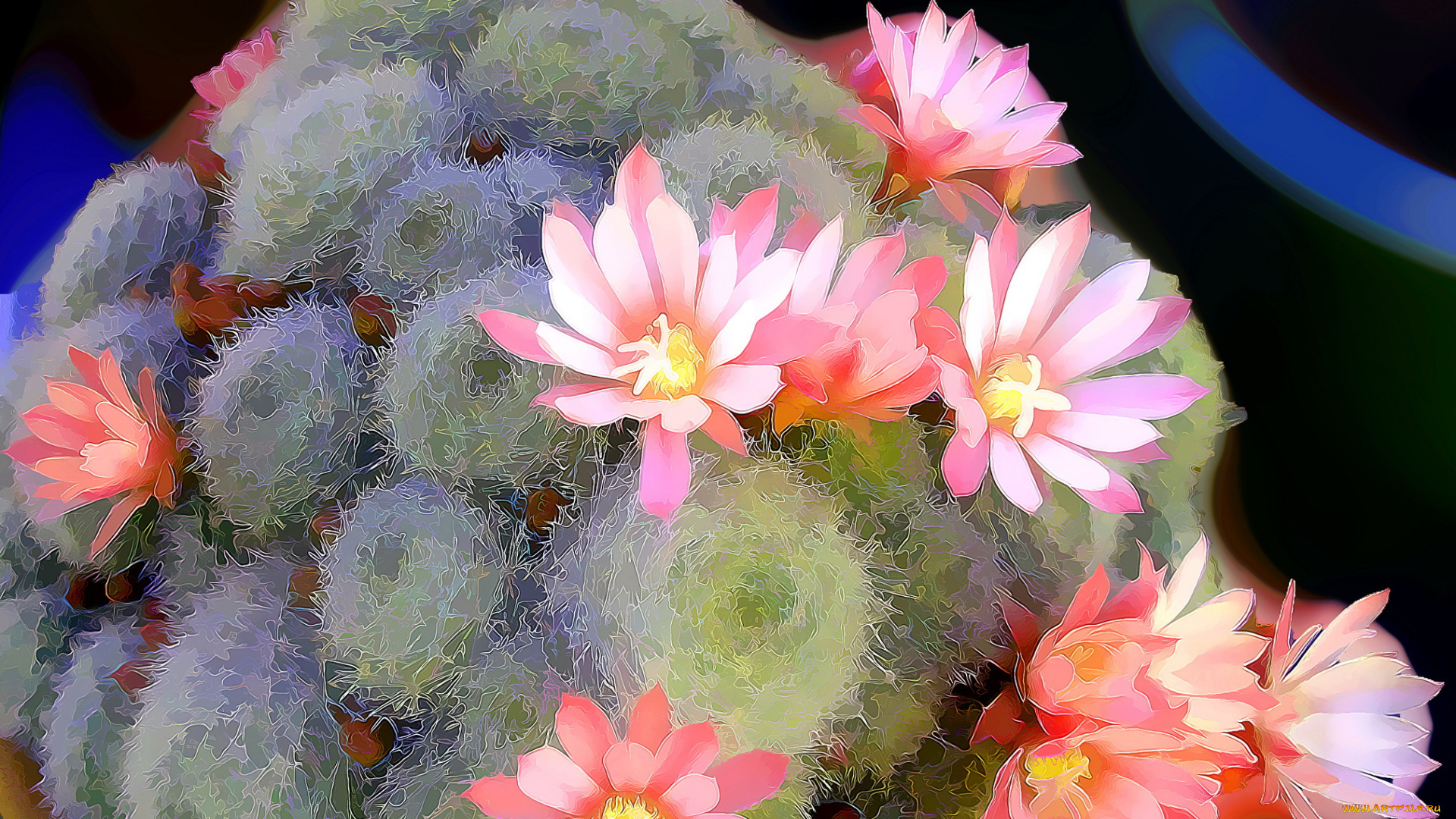 разное, компьютерный, дизайн, кактус