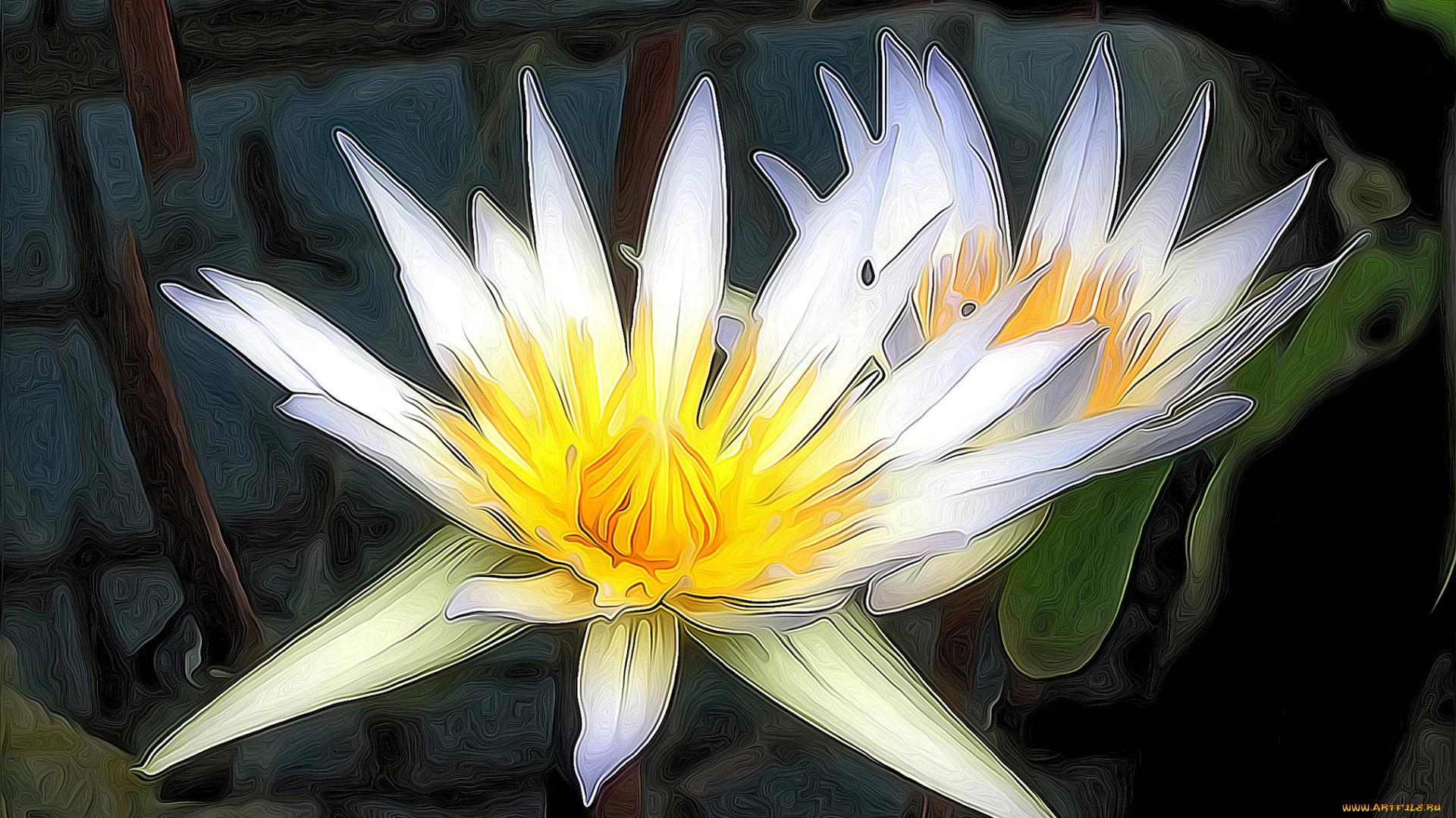 разное, компьютерный, дизайн, лотос, кувшинки