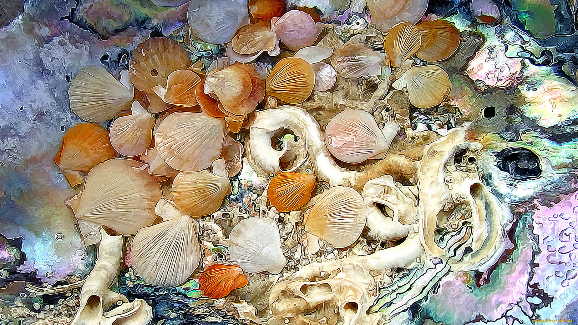 разное, компьютерный, дизайн, море, ракушки