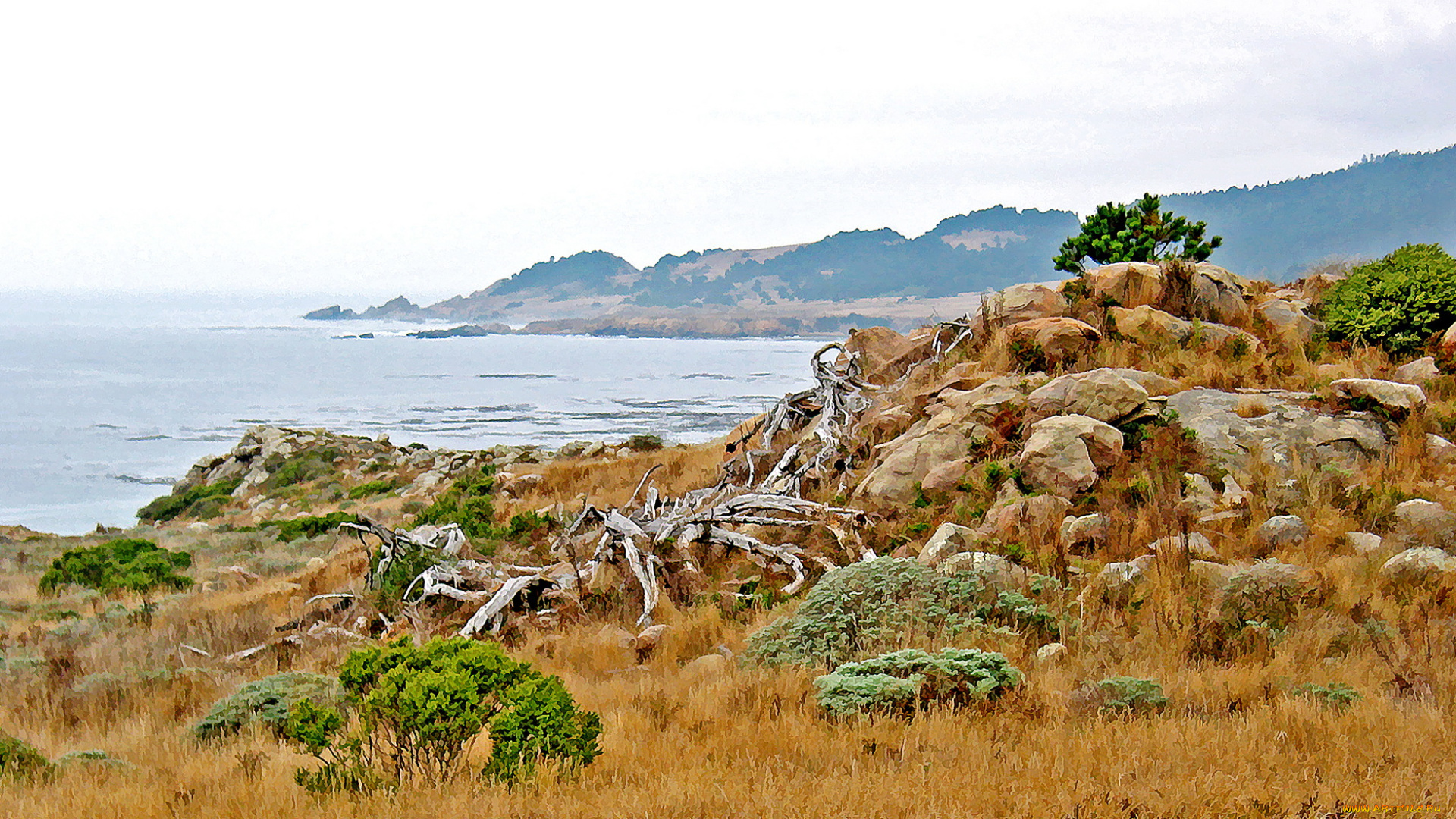 разное, компьютерный, дизайн, природа