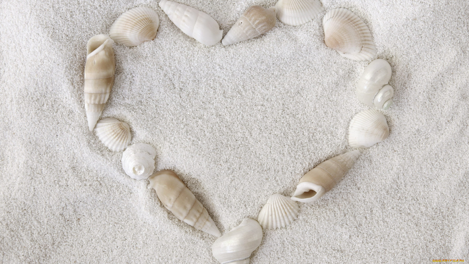 разное, ракушки, , кораллы, , декоративные, и, spa-камни, сердце, песок