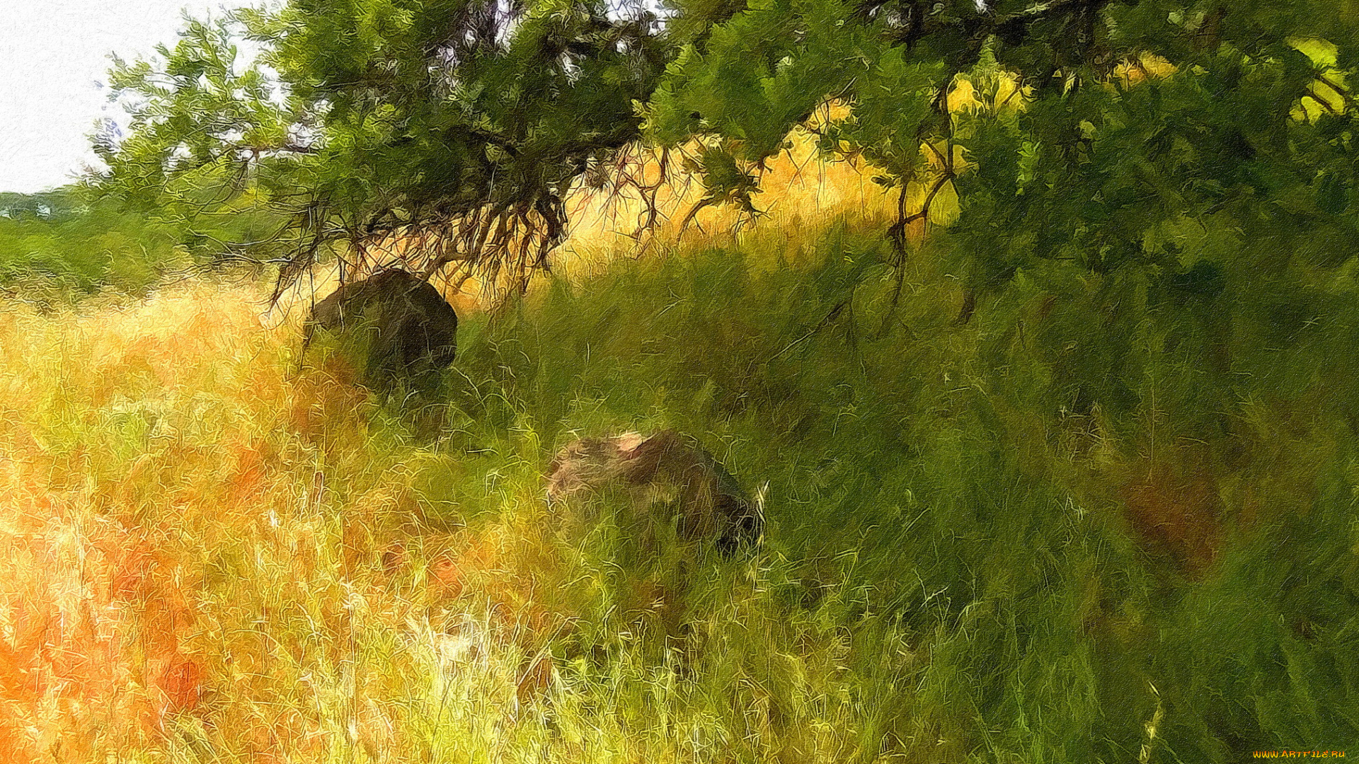 рисованные, природа, поле, трава