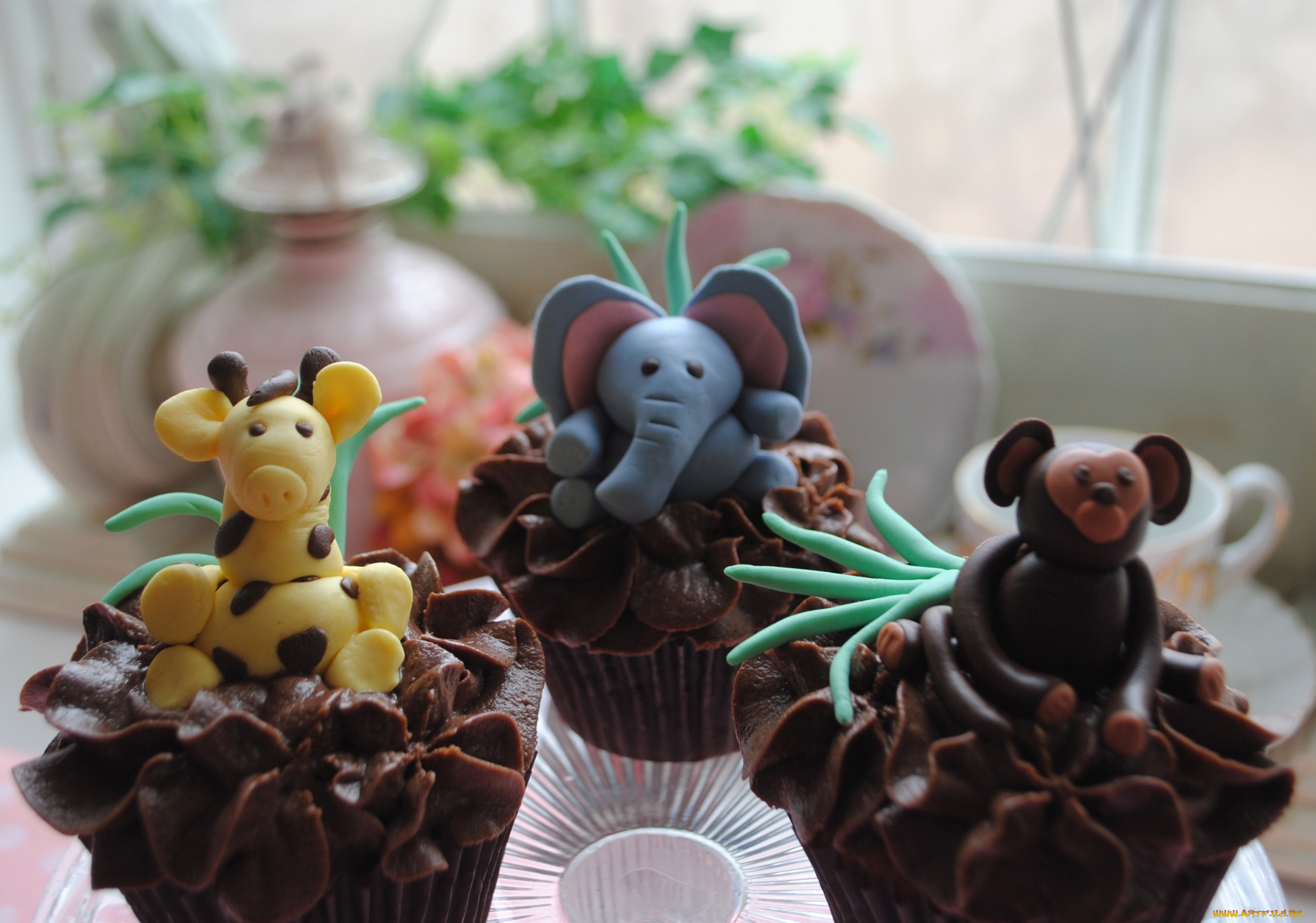 еда, пирожные, , кексы, , печенье, джунгли, кексы