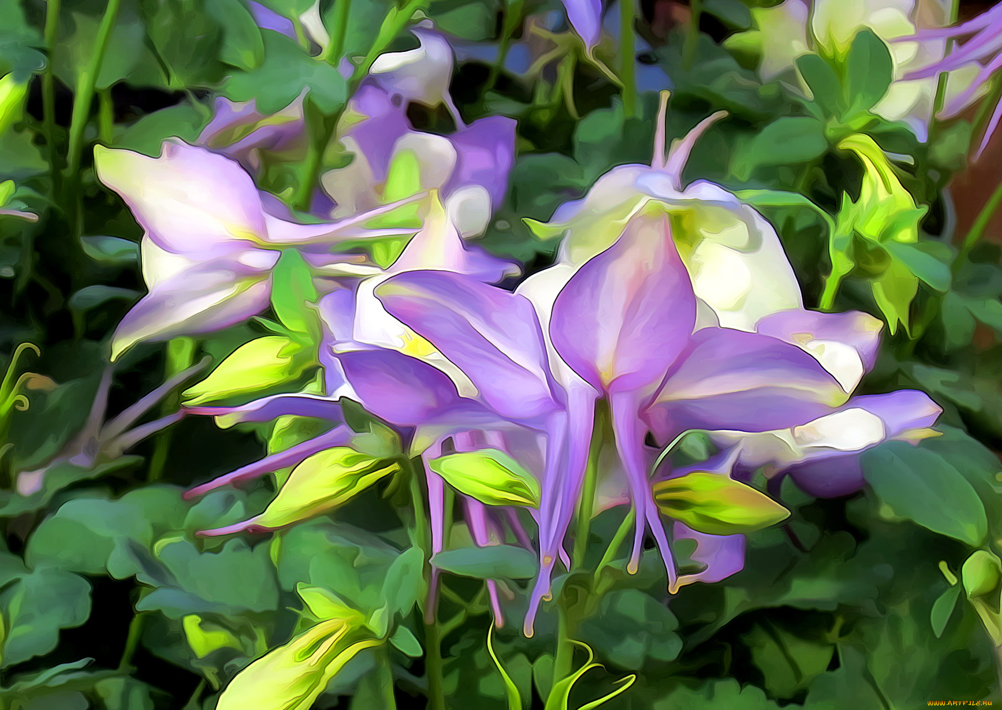 разное, компьютерный, дизайн, цветы