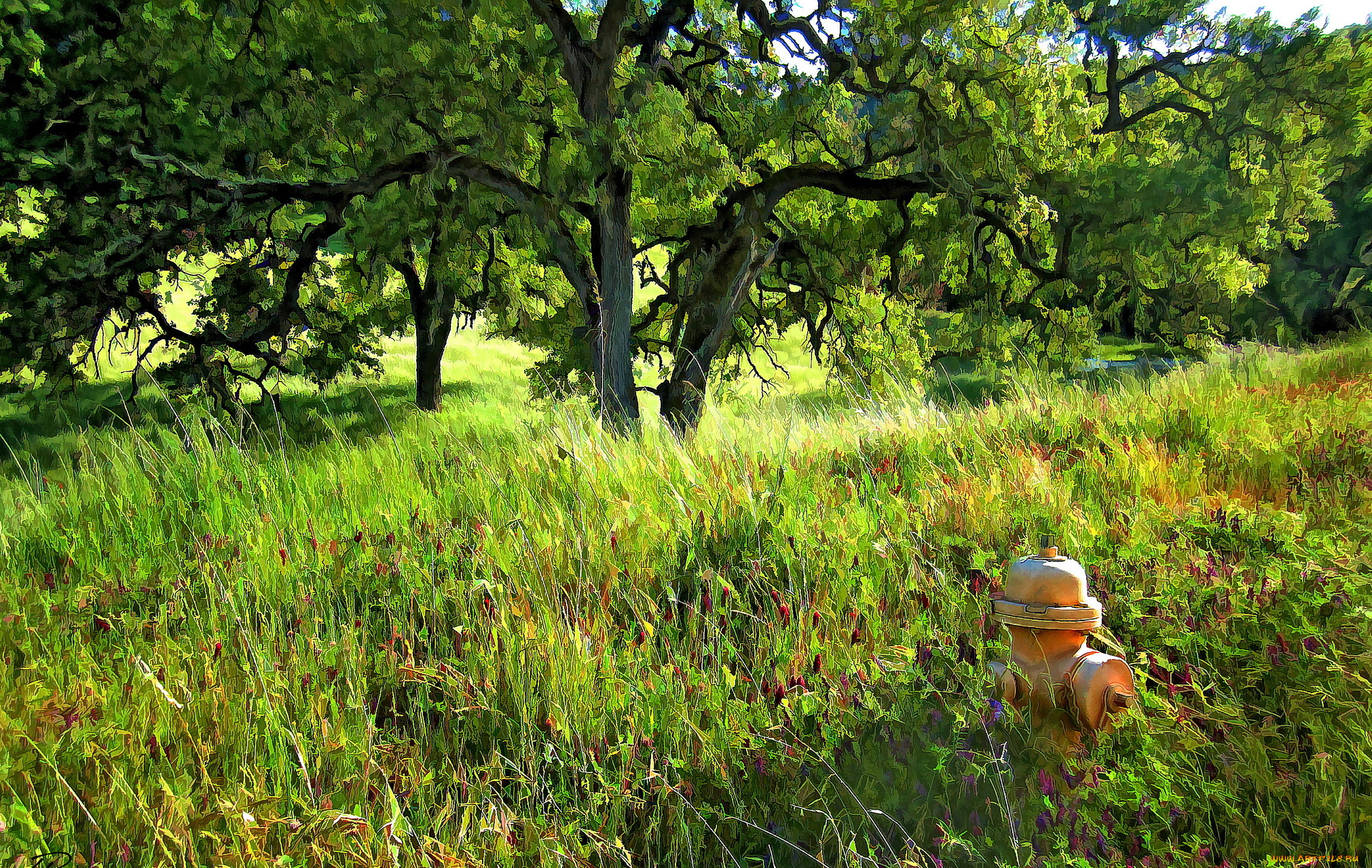 разное, компьютерный, дизайн, природа