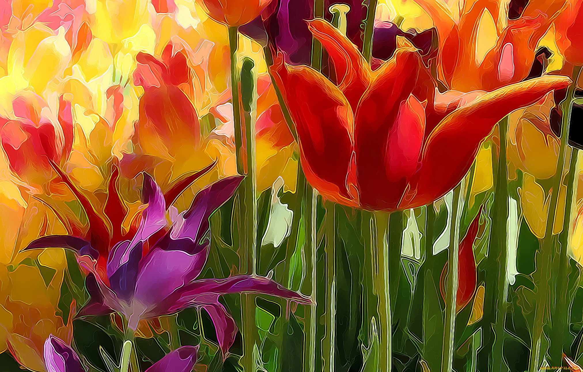 разное, компьютерный, дизайн, тюльпаны, цветы