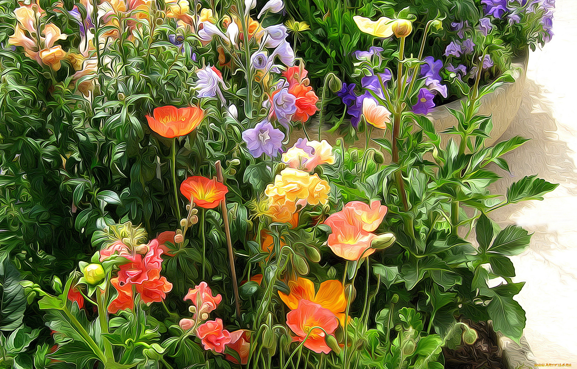 разное, компьютерный, дизайн, цветы, разные, вместе