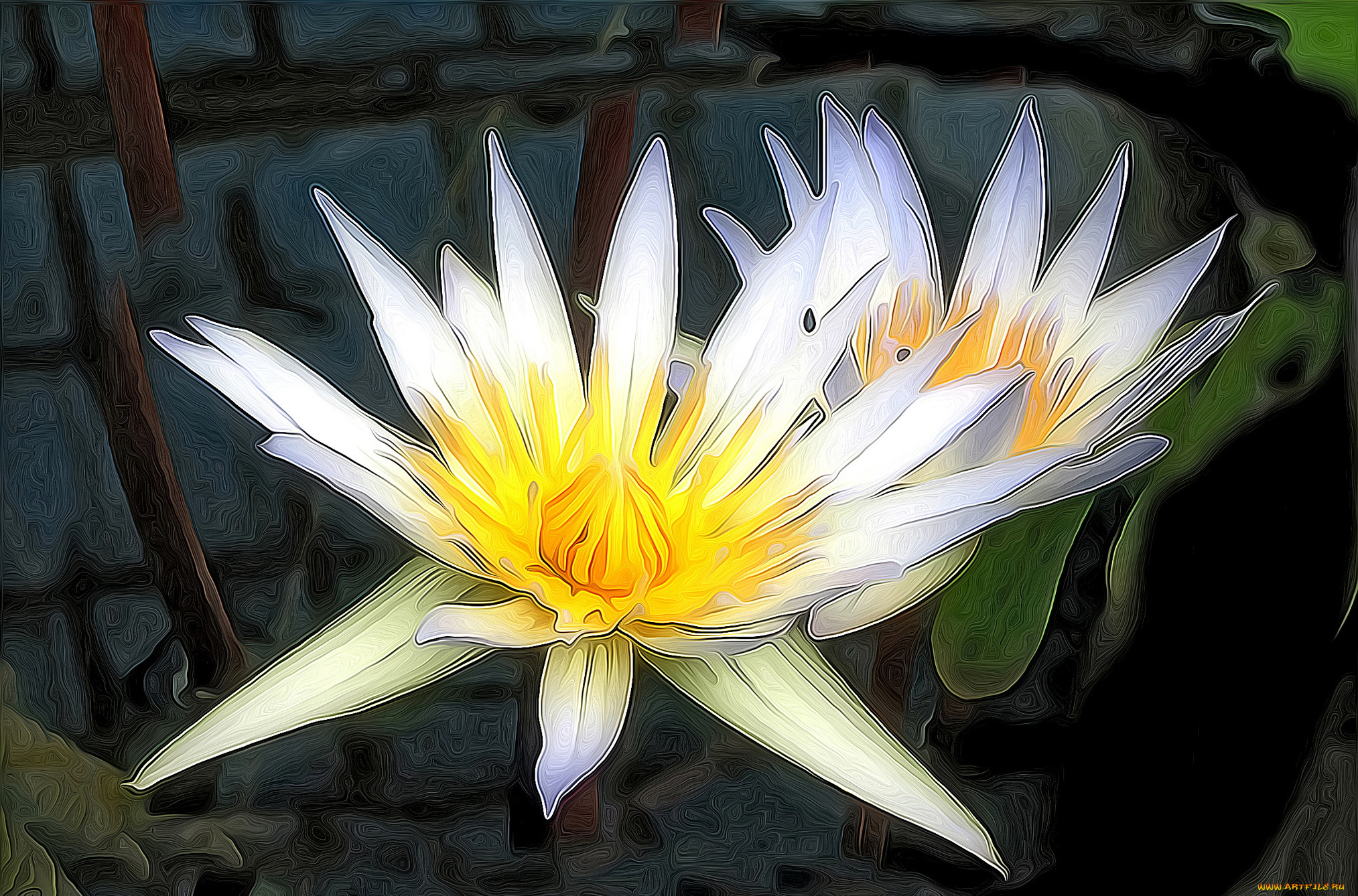 разное, компьютерный, дизайн, лотос, кувшинки