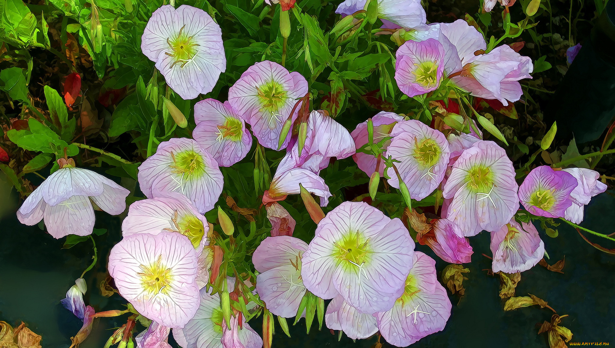 разное, компьютерный, дизайн, цветы