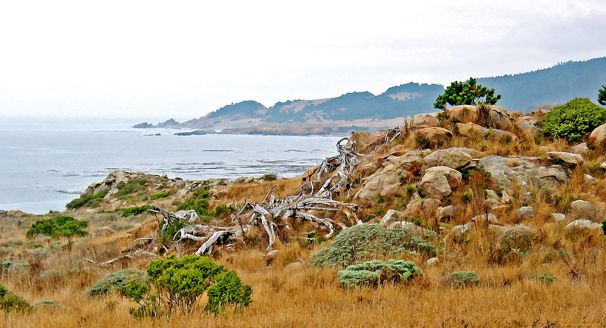 разное, компьютерный, дизайн, природа