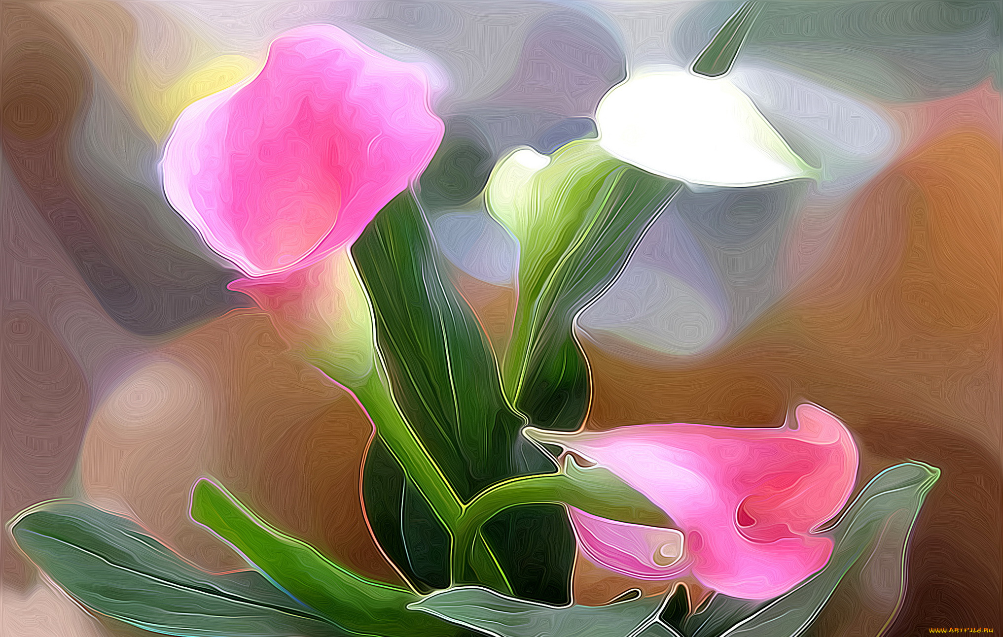 разное, компьютерный, дизайн, цветы, каллы