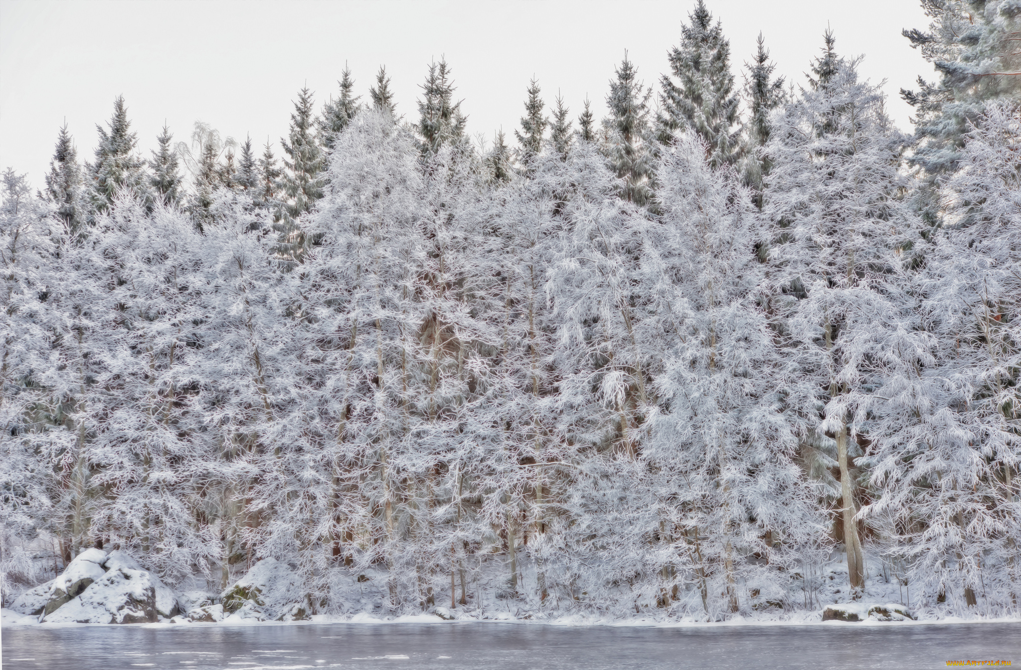 природа, зима