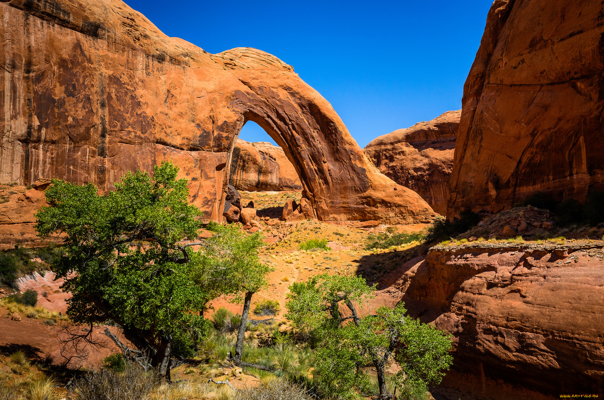 природа, горы, арка, деревья, скалы