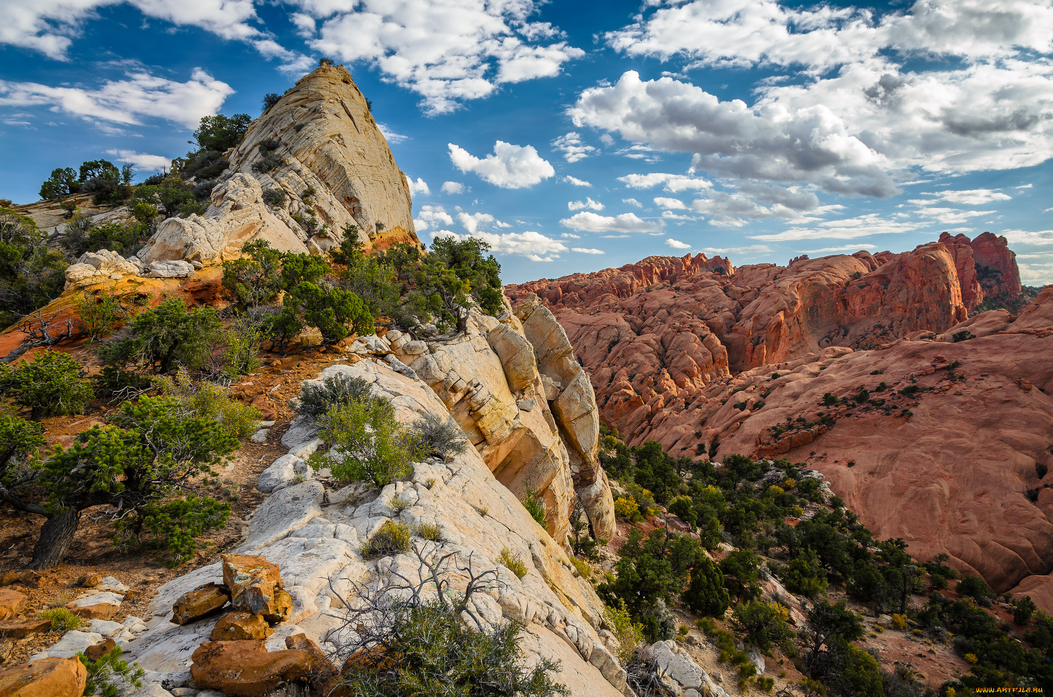 природа, горы, деревья, скалы