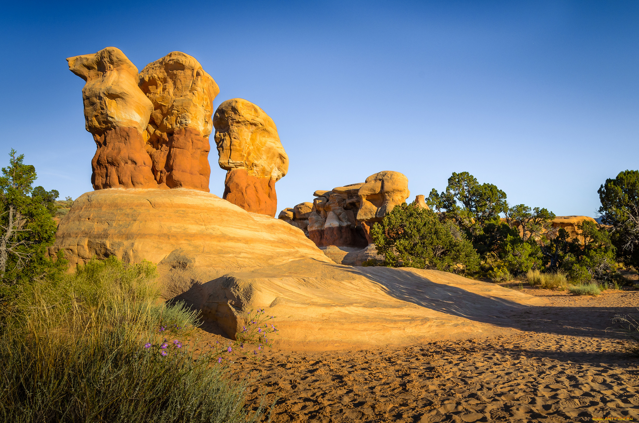 природа, горы, деревья, скалы