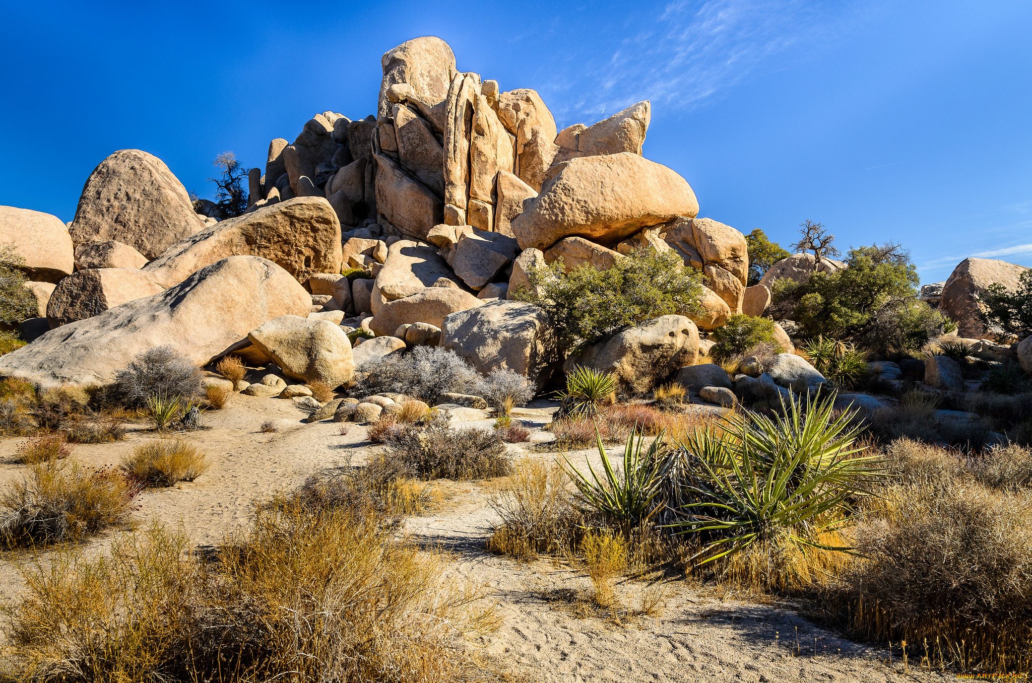 природа, камни, , минералы, кактусы, песок