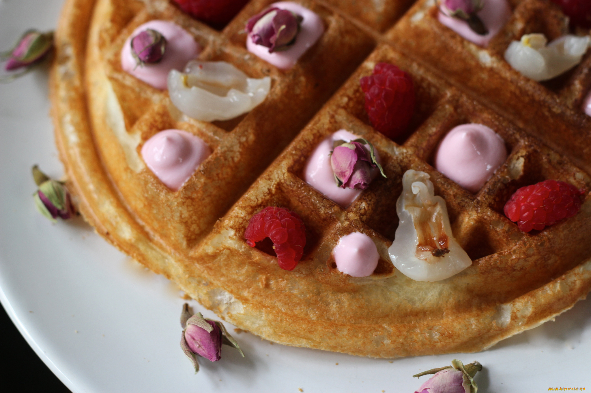 еда, пирожные, , кексы, , печенье, крем, мороженое, вафли