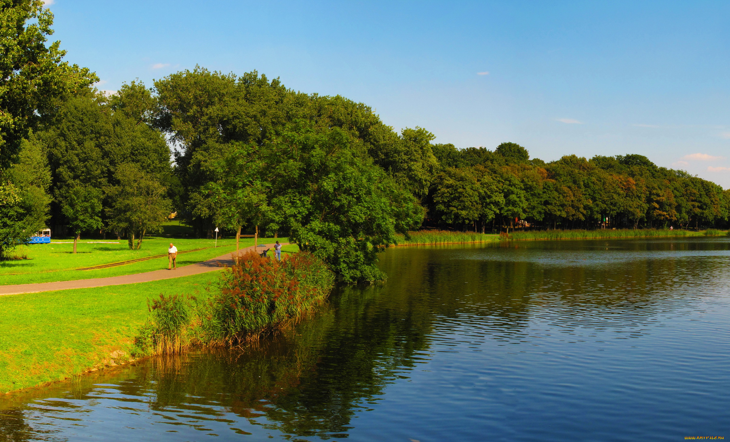 познань, польша, природа, парк, река, польша, деревья, кусты, познань