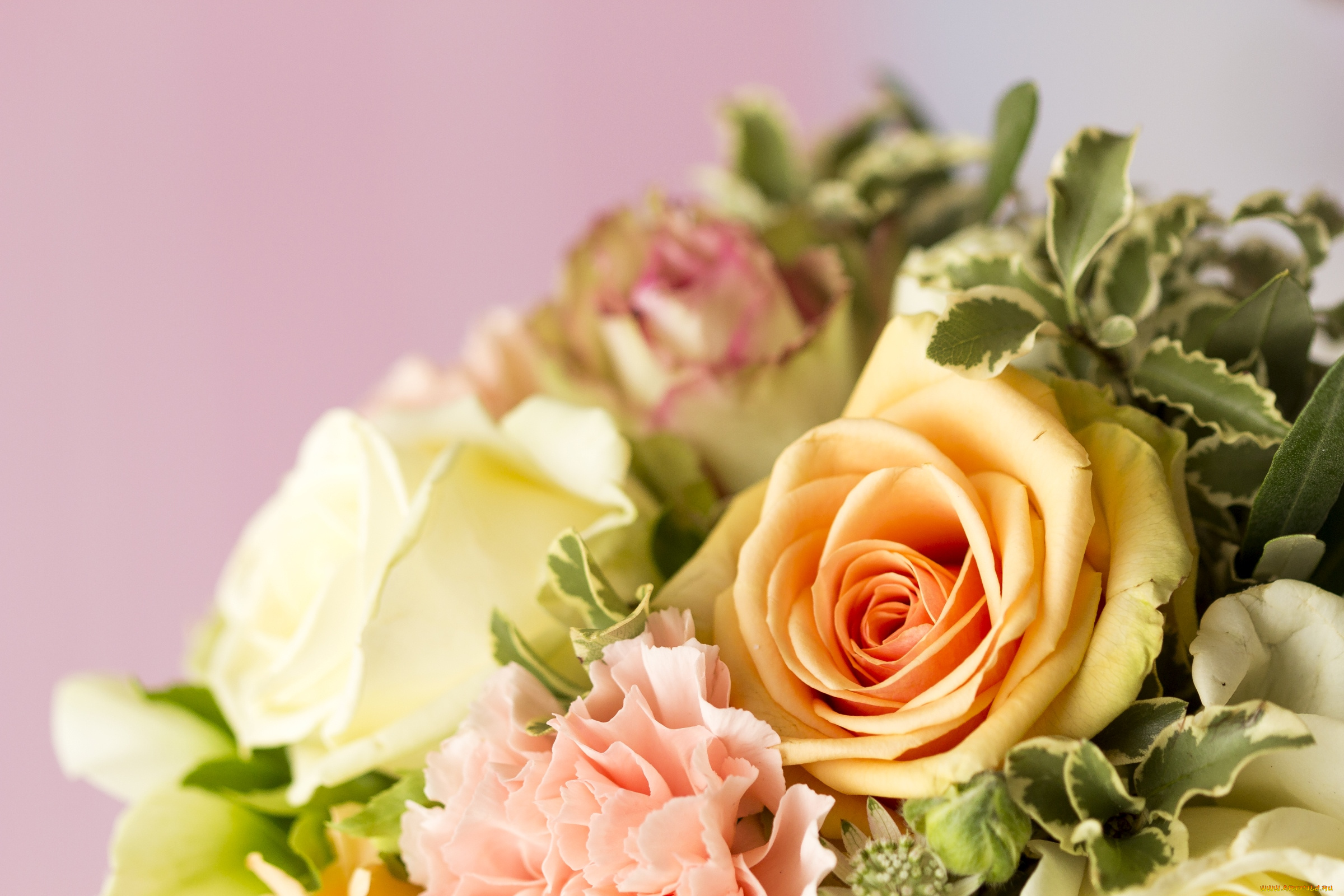 цветы, букеты, , композиции, гвоздики, розы