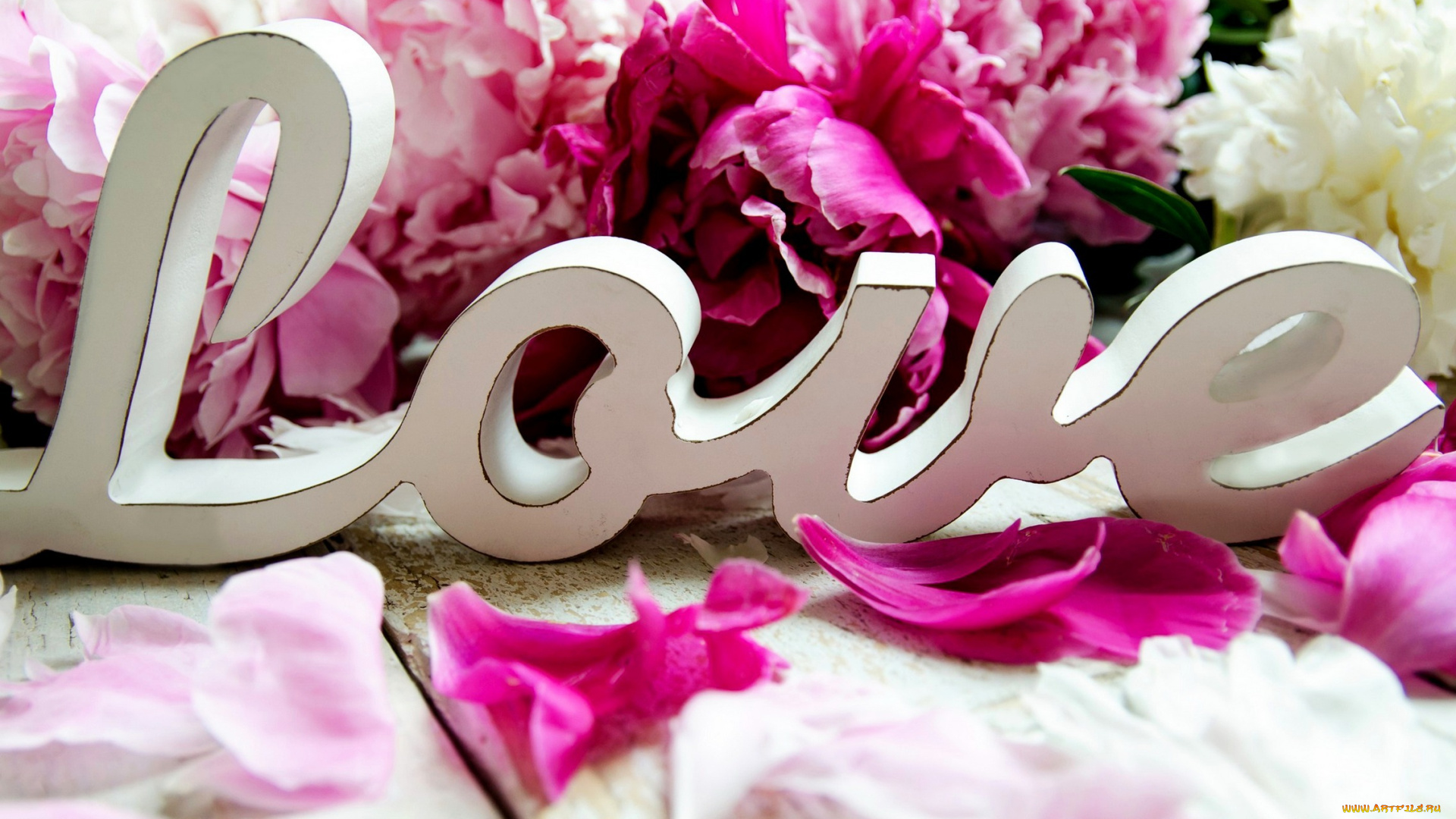 праздничные, день, святого, валентина, , сердечки, , любовь, любовь, надпись, лепестки, пионы