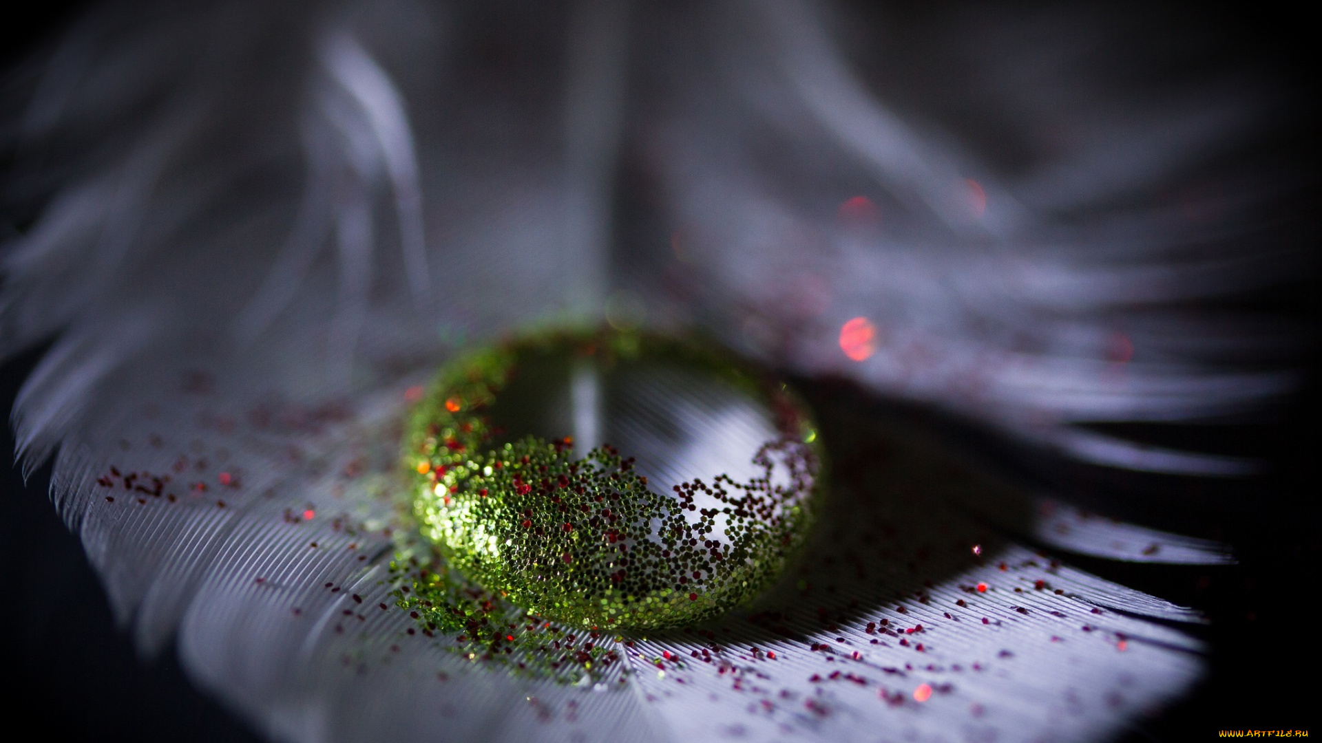 разное, капли, , брызги, , всплески, пёрышко, капля, блёстки, блеск, макро