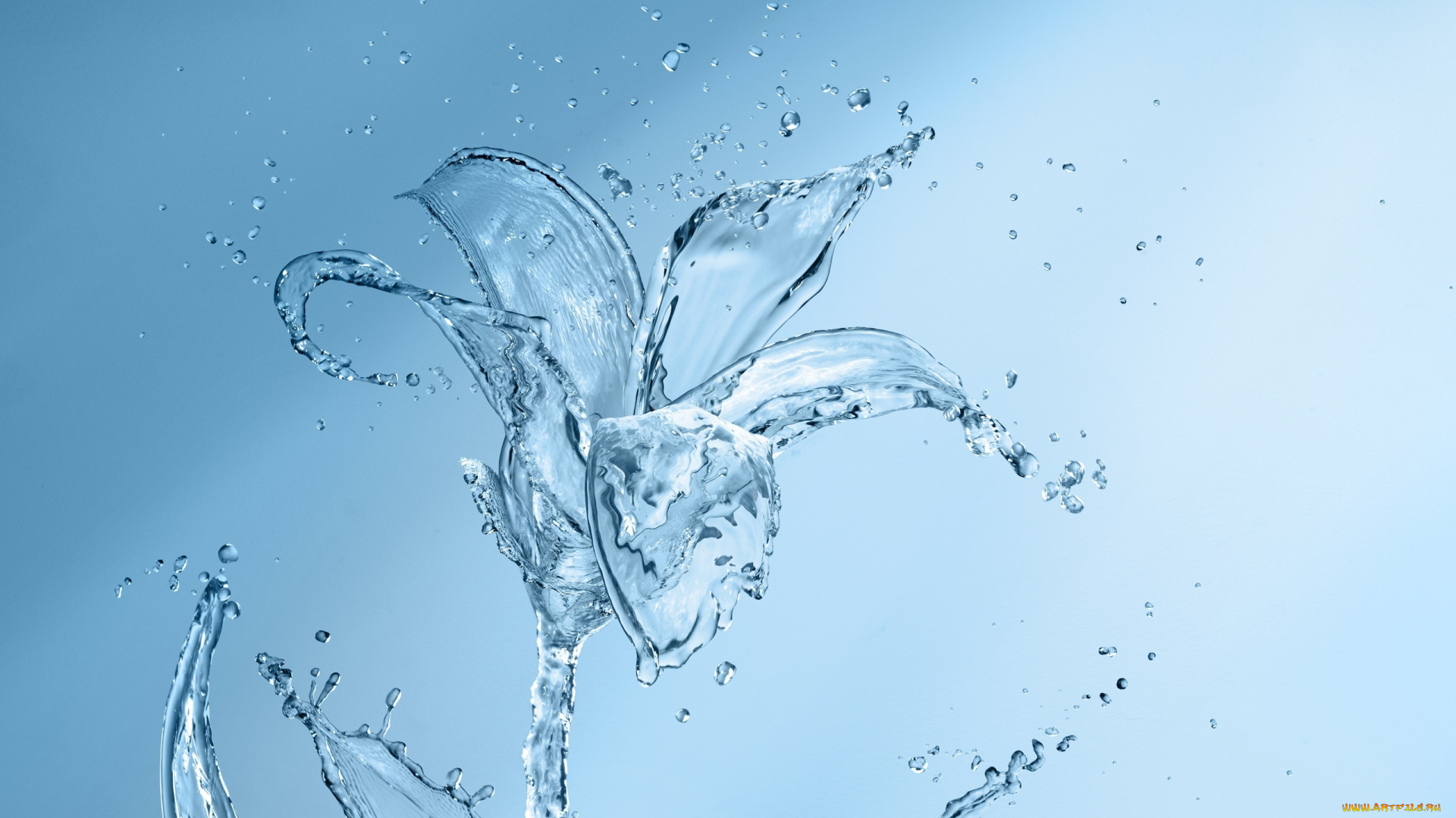 разное, компьютерный, дизайн, брызги, капли, фон, вода, цветок