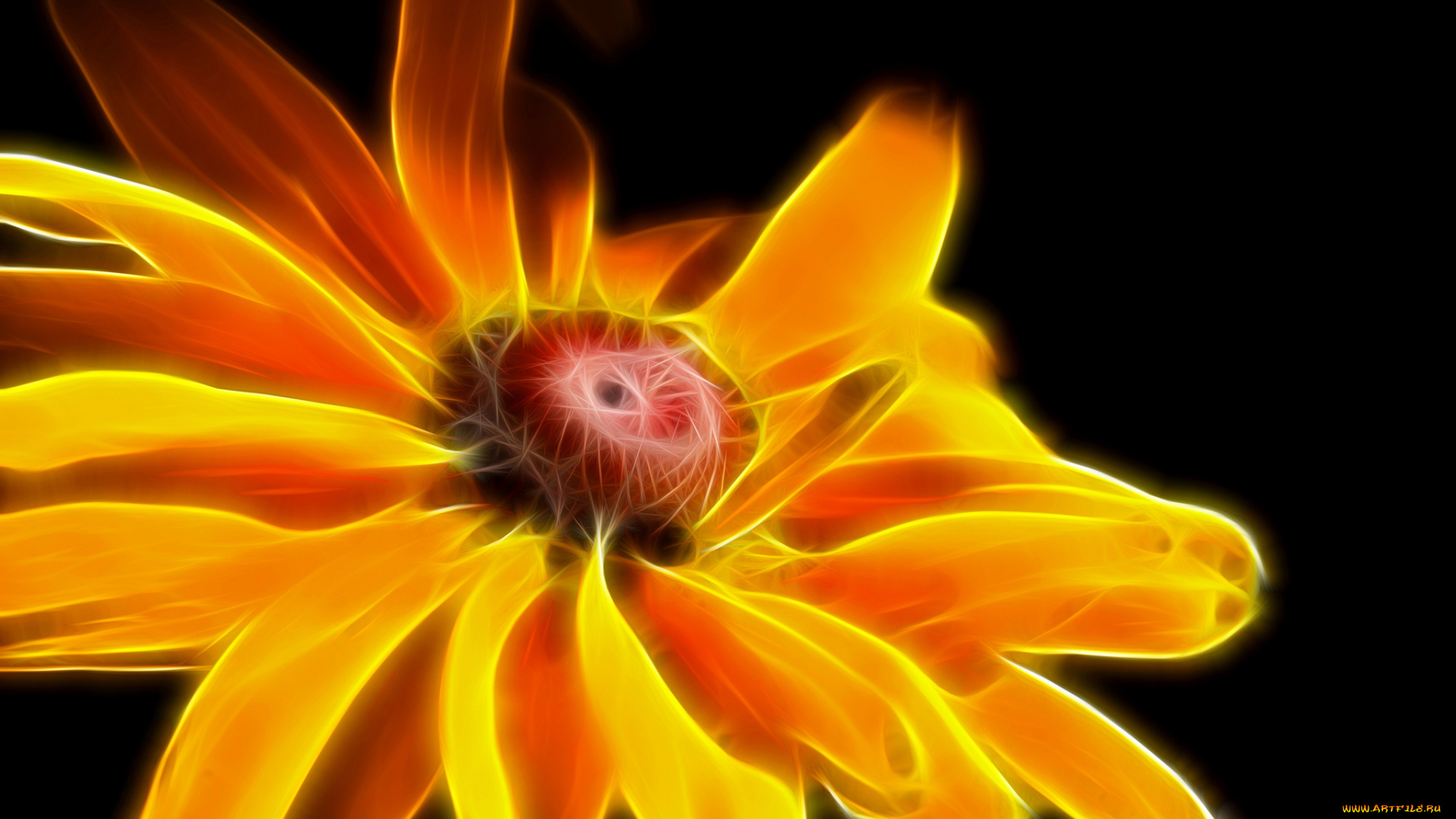 разное, компьютерный, дизайн, цветок, штрих, линии, лепестки