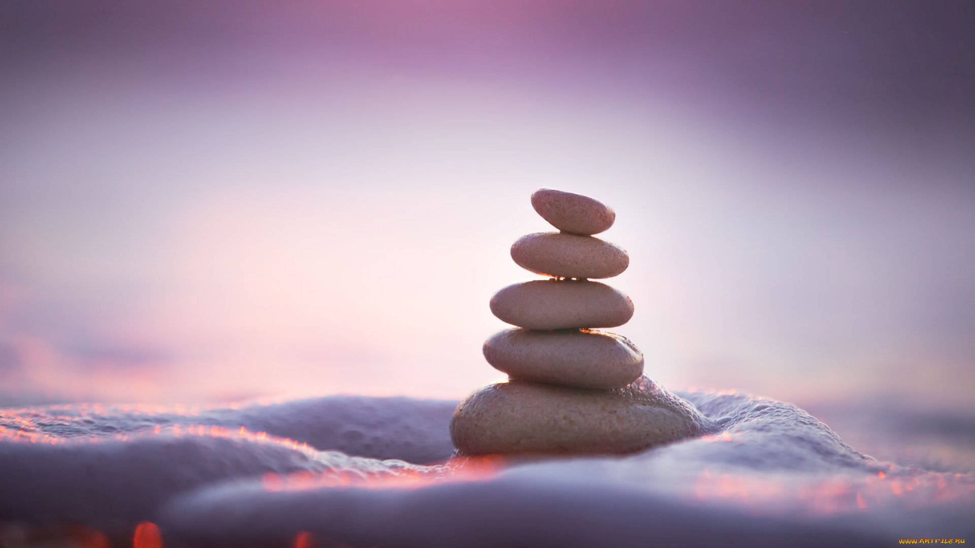 разное, ракушки, , кораллы, , декоративные, и, spa-камни, природа, вода, камни, камешки, море, река, макро, боке, пучина, пирамида