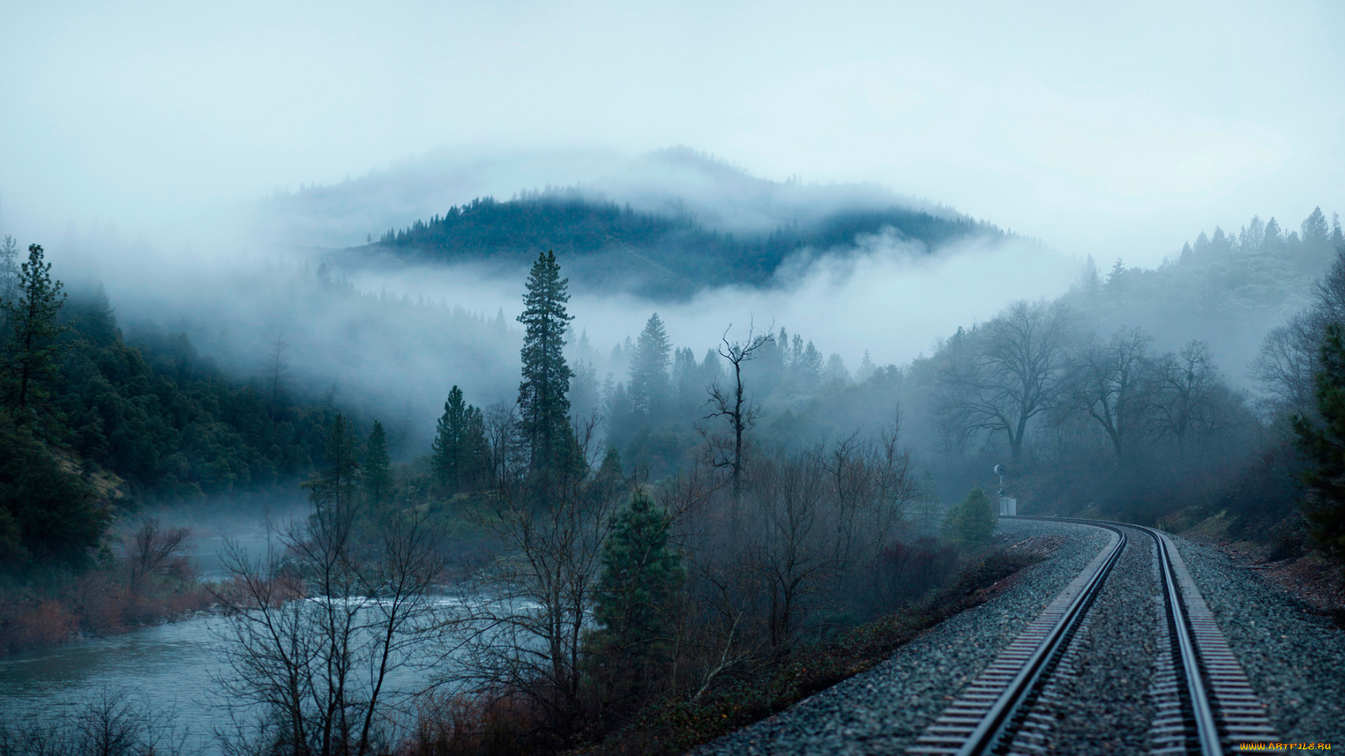 разное, транспортные, средства, и, магистрали, лес, утро, туман, жд