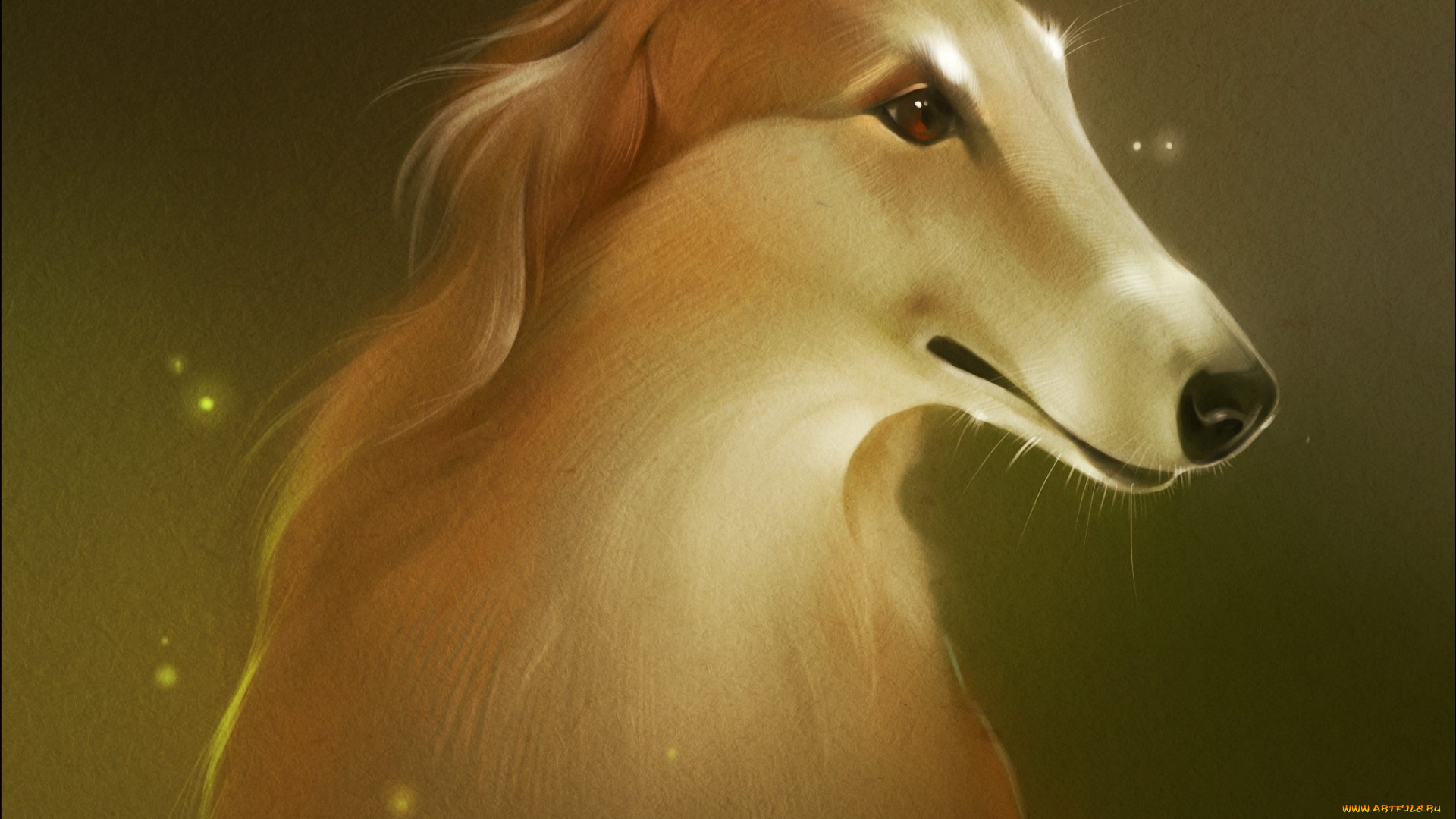 рисованное, животные, , собаки, морда, фон, собака