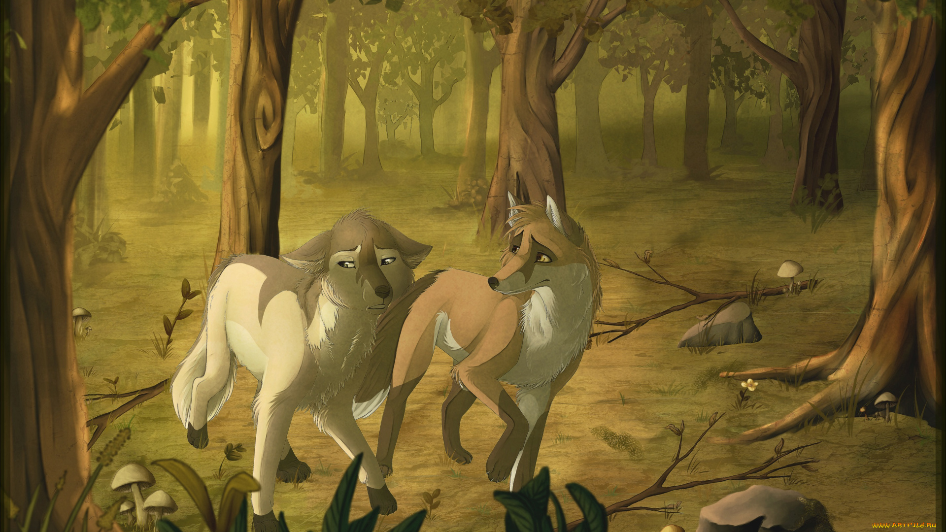 рисованное, животные, лес, лиса, волк