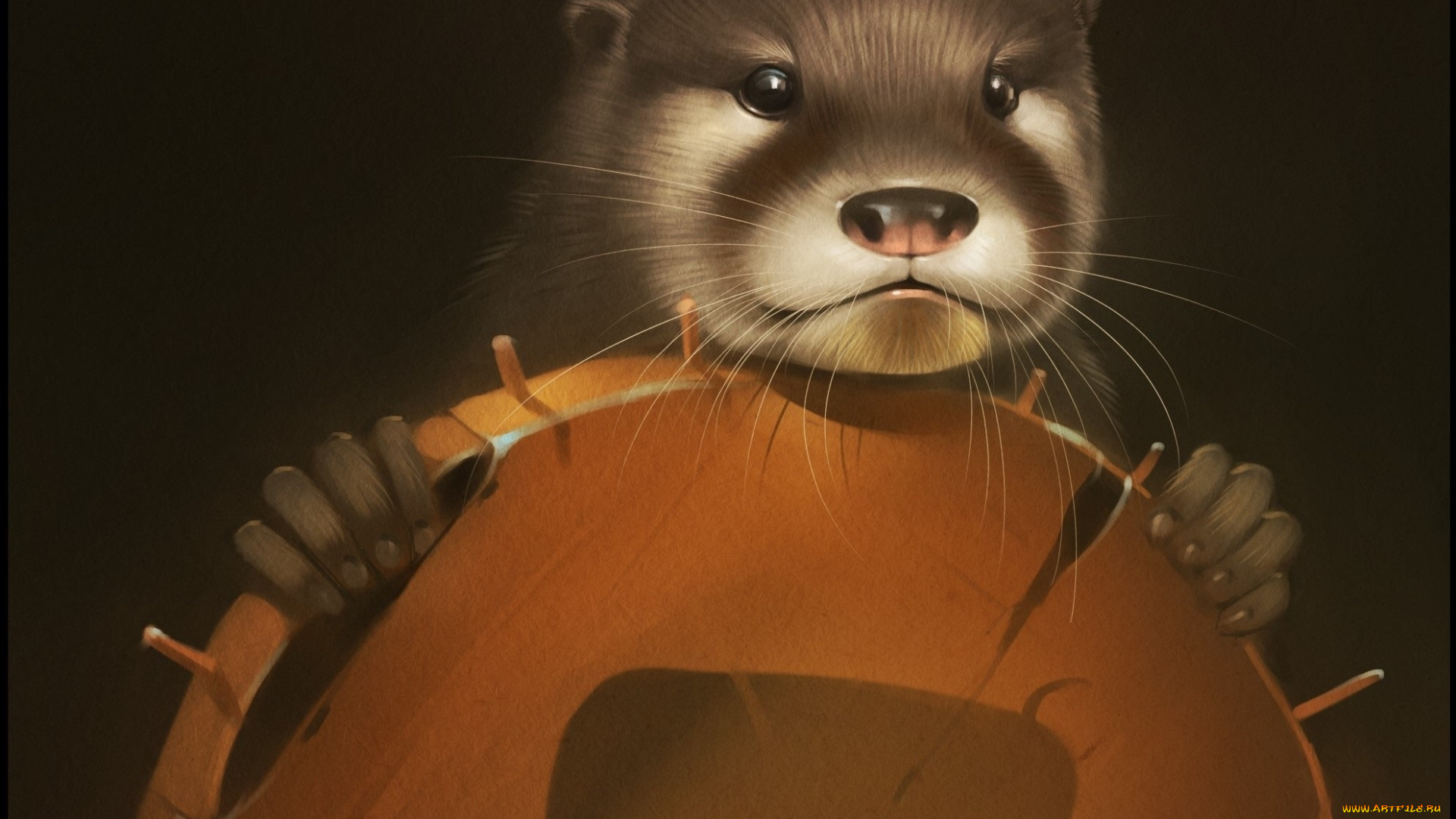 рисованное, животные, взгляд, усы, морда, глаза