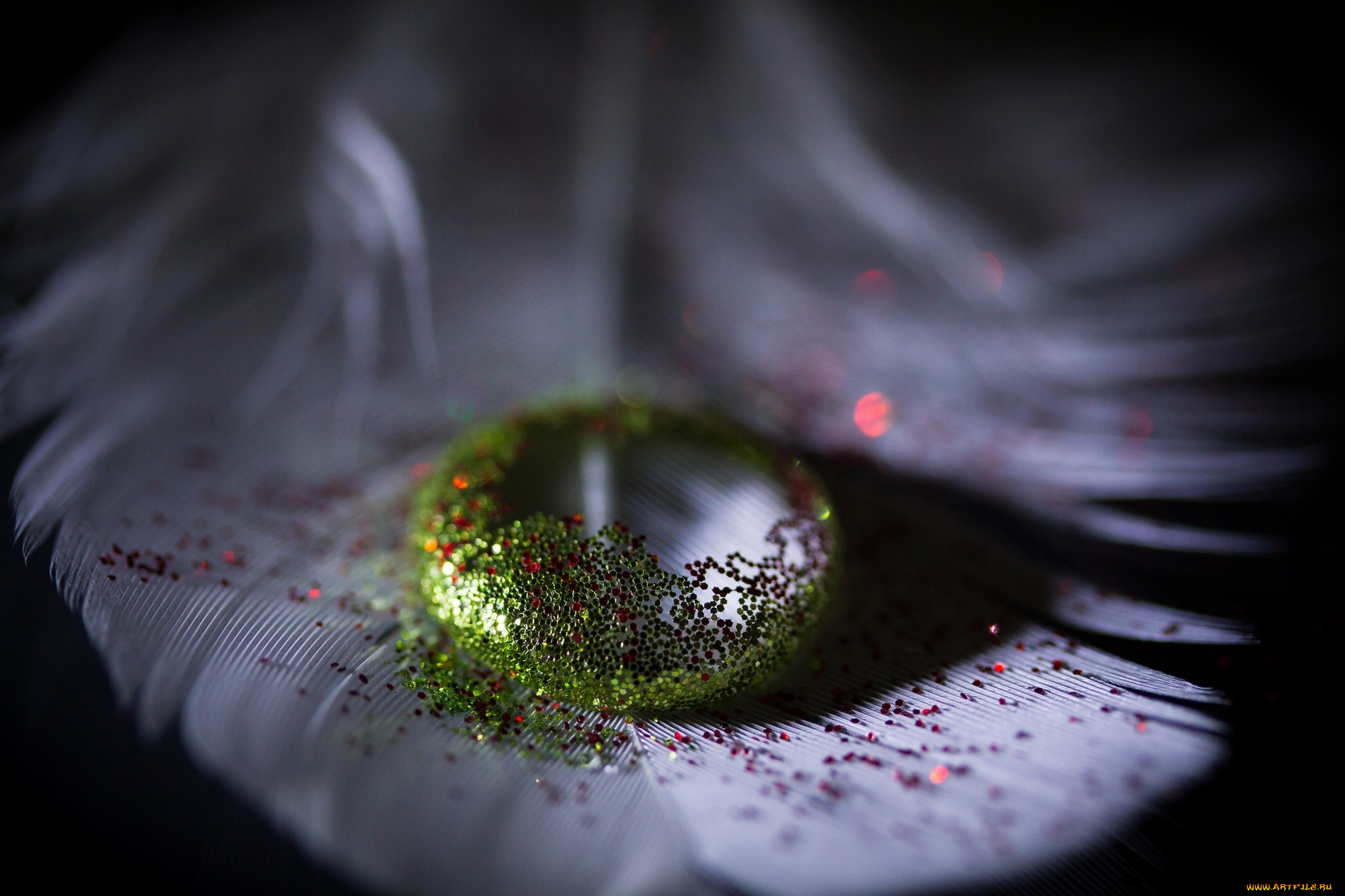 разное, капли, , брызги, , всплески, пёрышко, капля, блёстки, блеск, макро