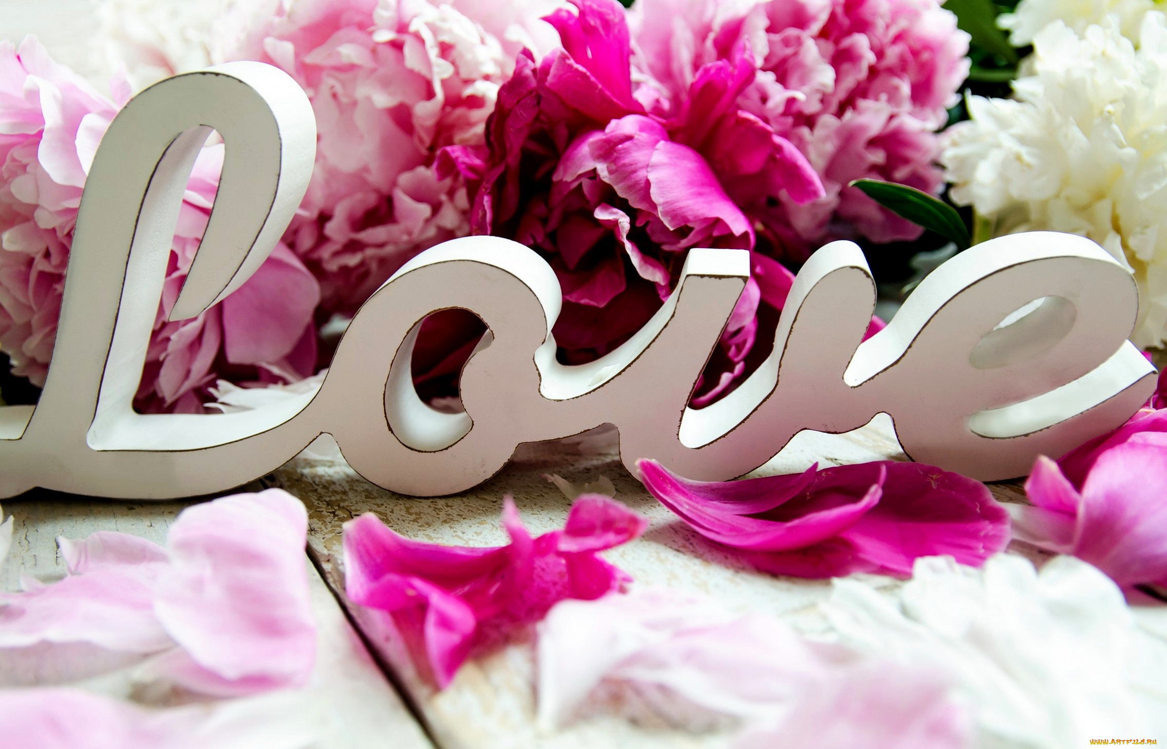 праздничные, день, святого, валентина, , сердечки, , любовь, любовь, надпись, лепестки, пионы