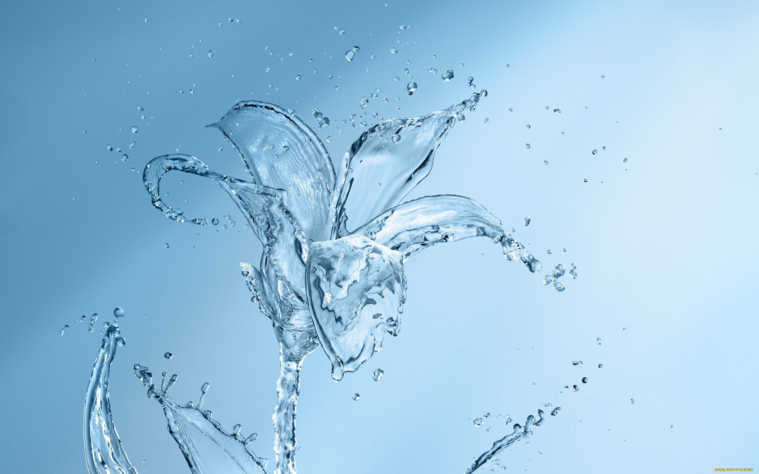 разное, компьютерный, дизайн, брызги, капли, фон, вода, цветок