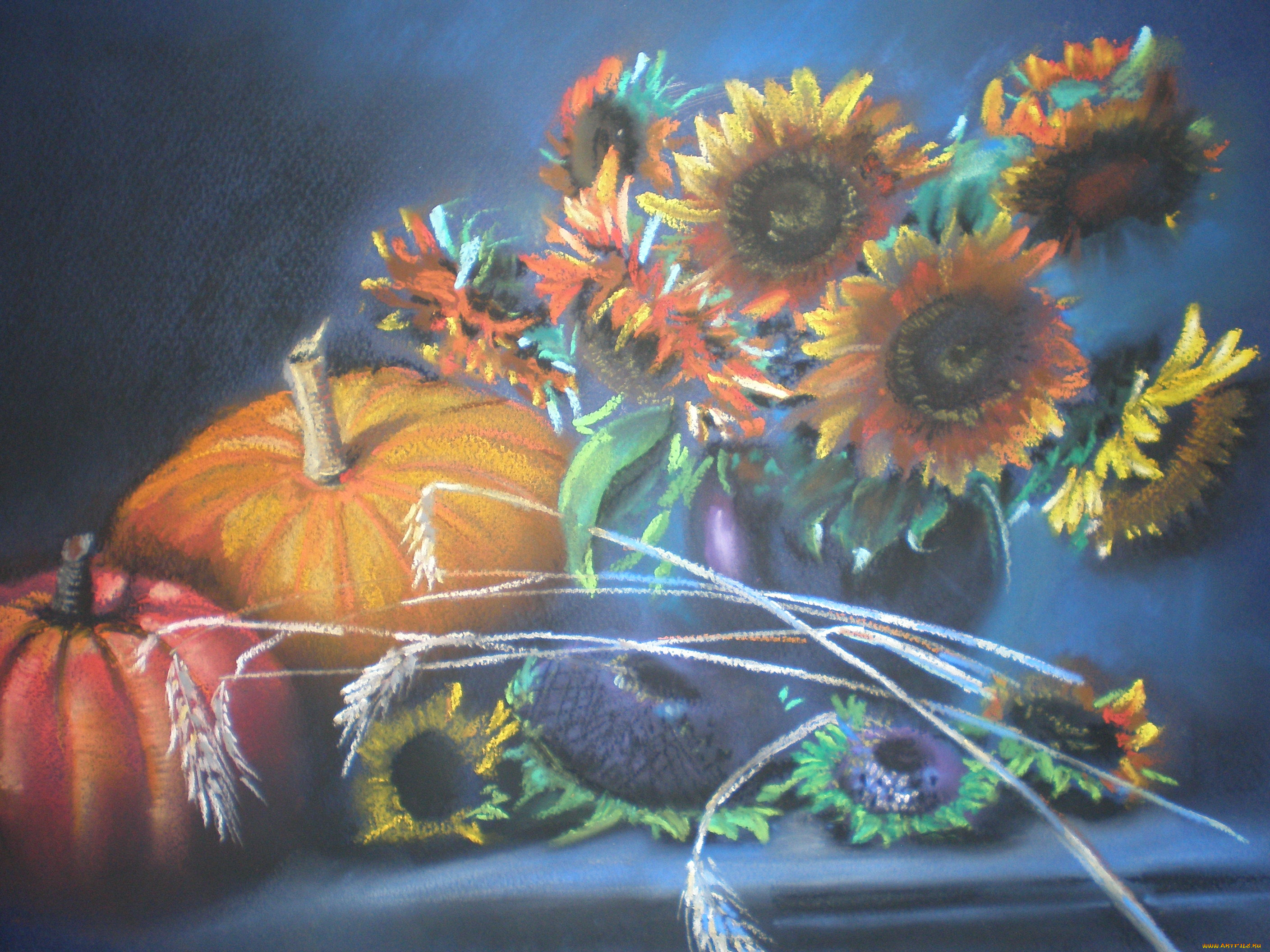 натюрморт, рисованное, живопись, тыква, подсолнух