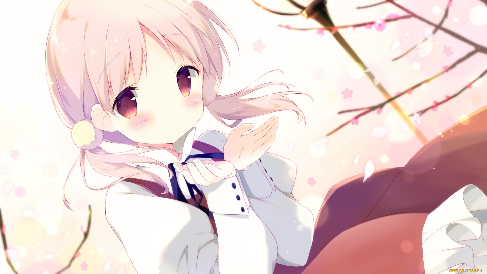 автор, , shiratama, аниме, unknown, , другое, kiriyama, sakura, musubi