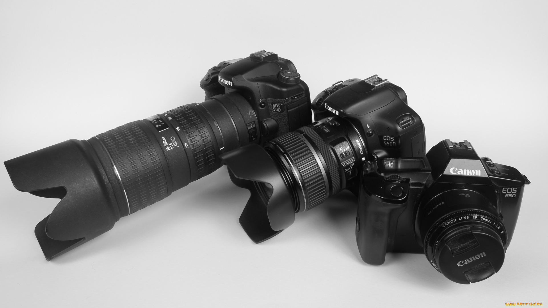 бренды, cancun, фотокамеры